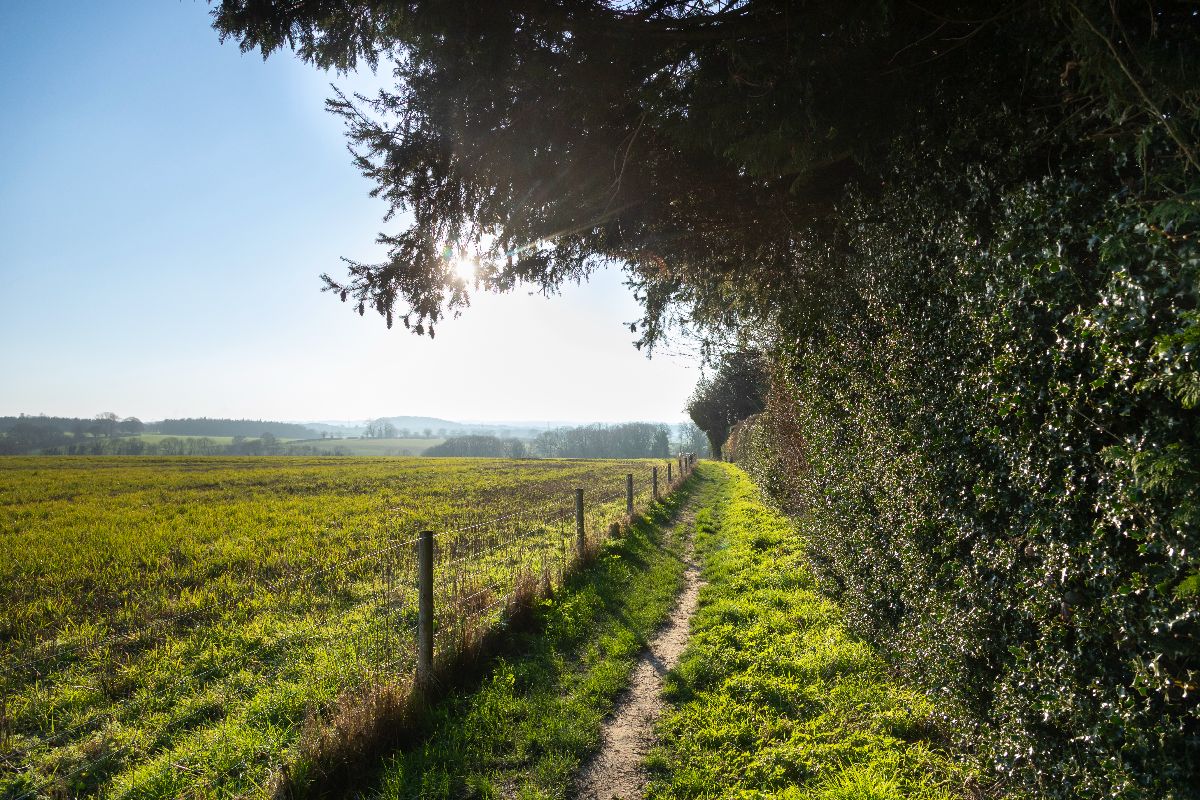 5 bed character property to rent in Westcote Barn, Binsted  - Property Image 23