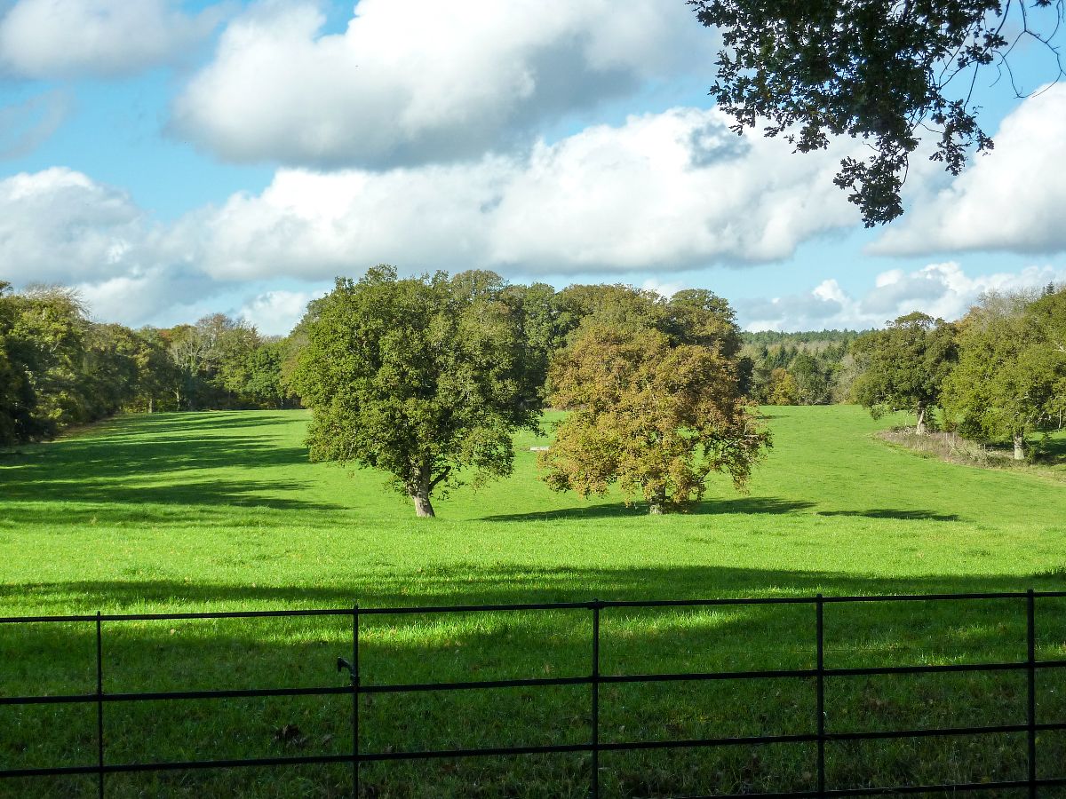 4 bed character property to rent in Keepers Cottage, Clarendon Park 25