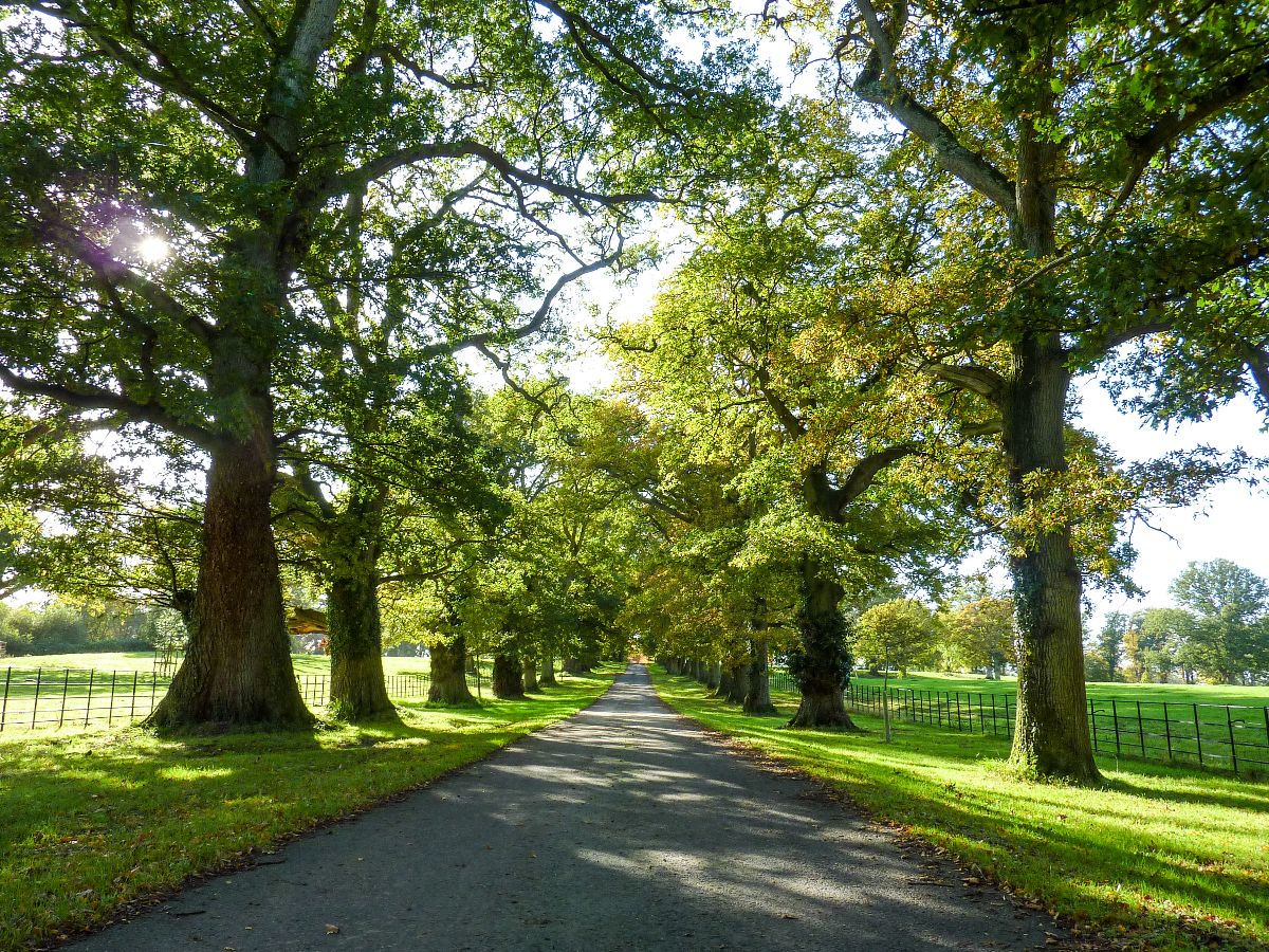 4 bed character property to rent in Keepers Cottage, Clarendon Park  - Property Image 27