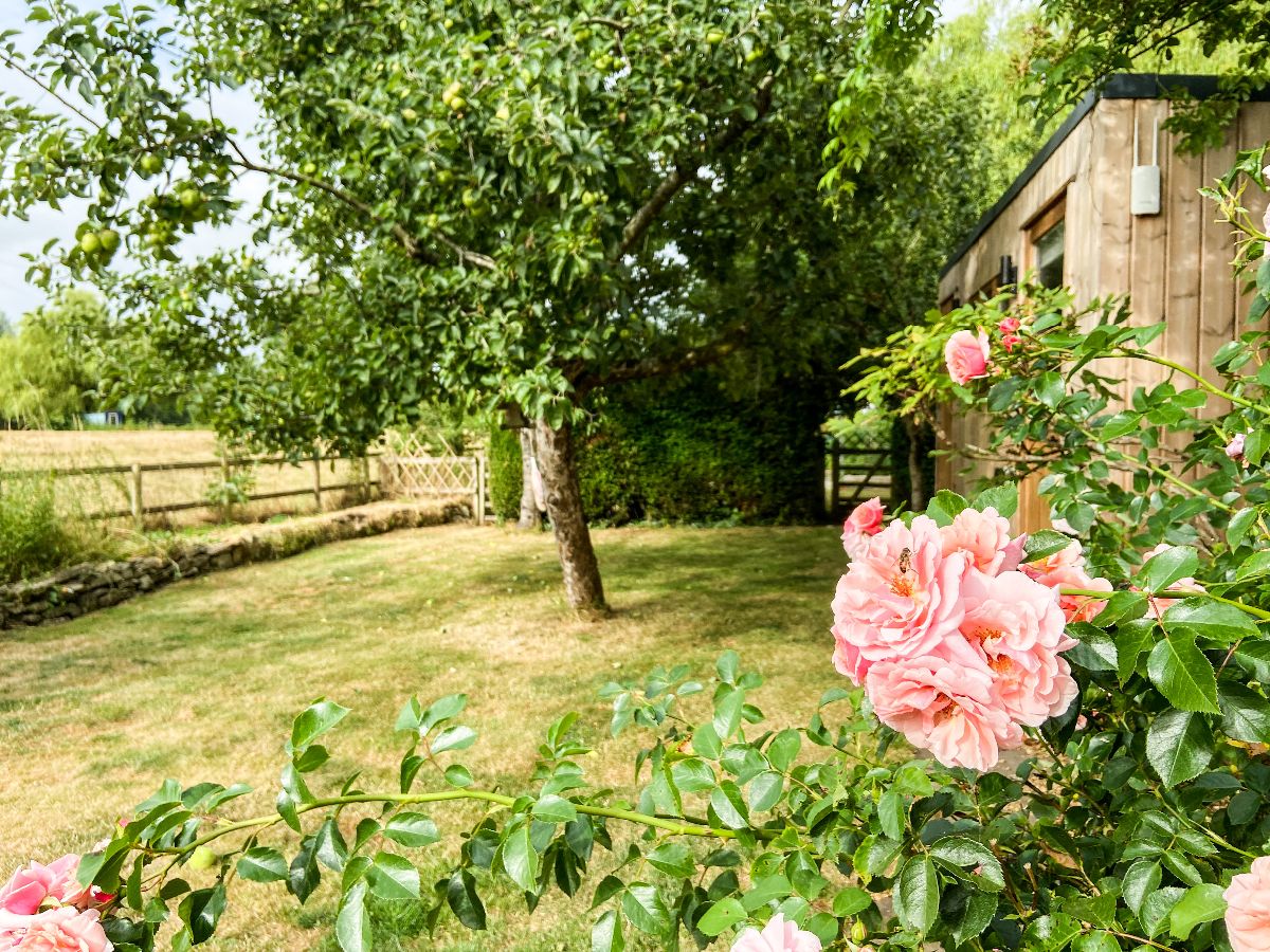 4 bed end of terrace house for sale in Court Street, Tisbury, Salisbury