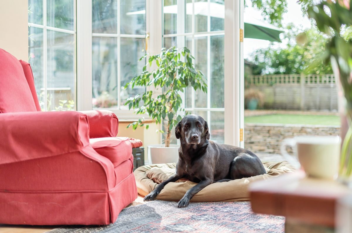 5 bed detached house for sale in Merrifield Road, Ford  - Property Image 11