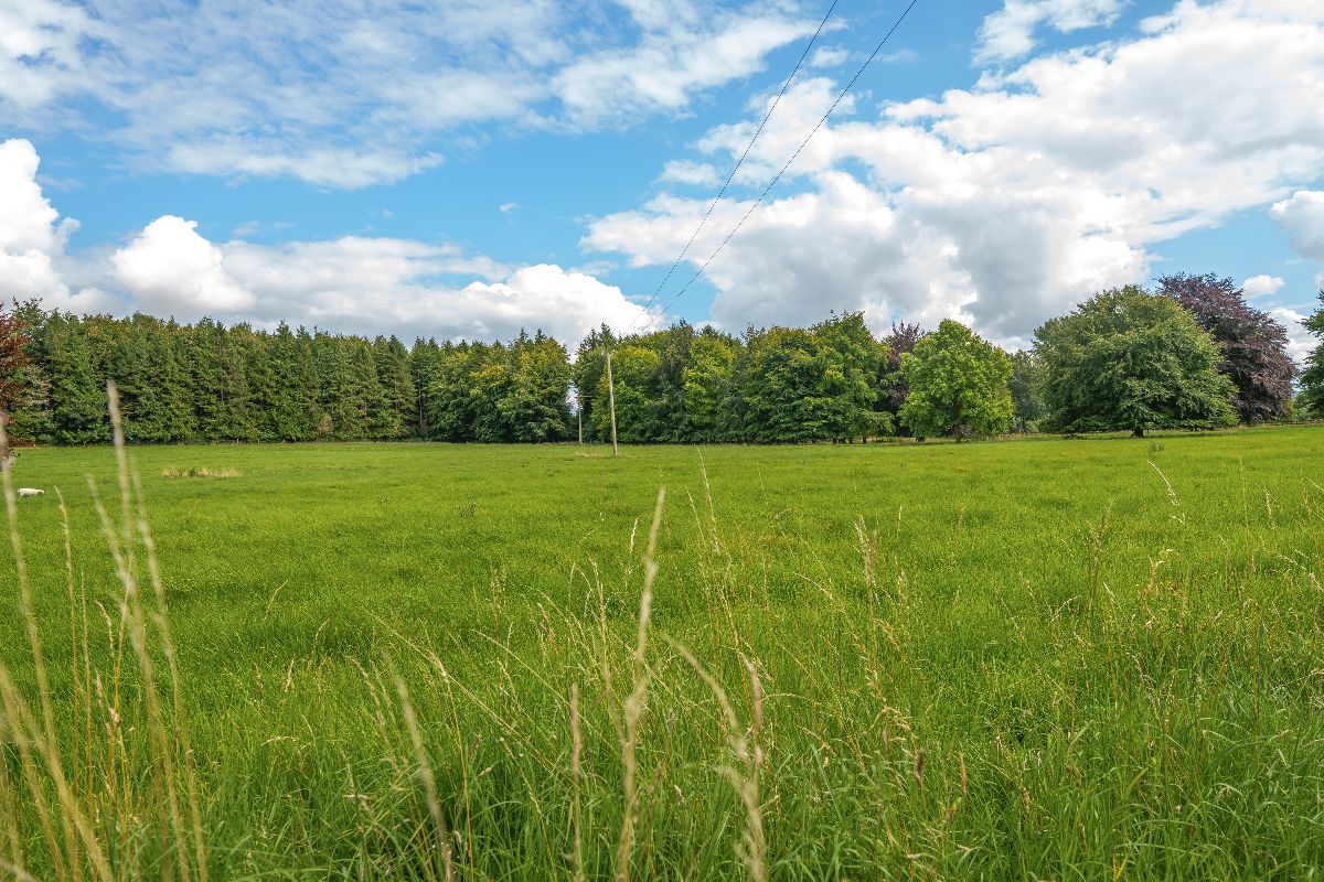 5 bed detached house for sale in Park Lane, Heytesbury, Warminster  - Property Image 28