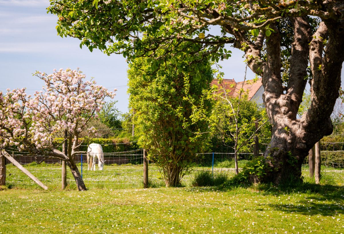 5 bed character property for sale in Brambles, South Street, Great Wishford, Salisbury 18