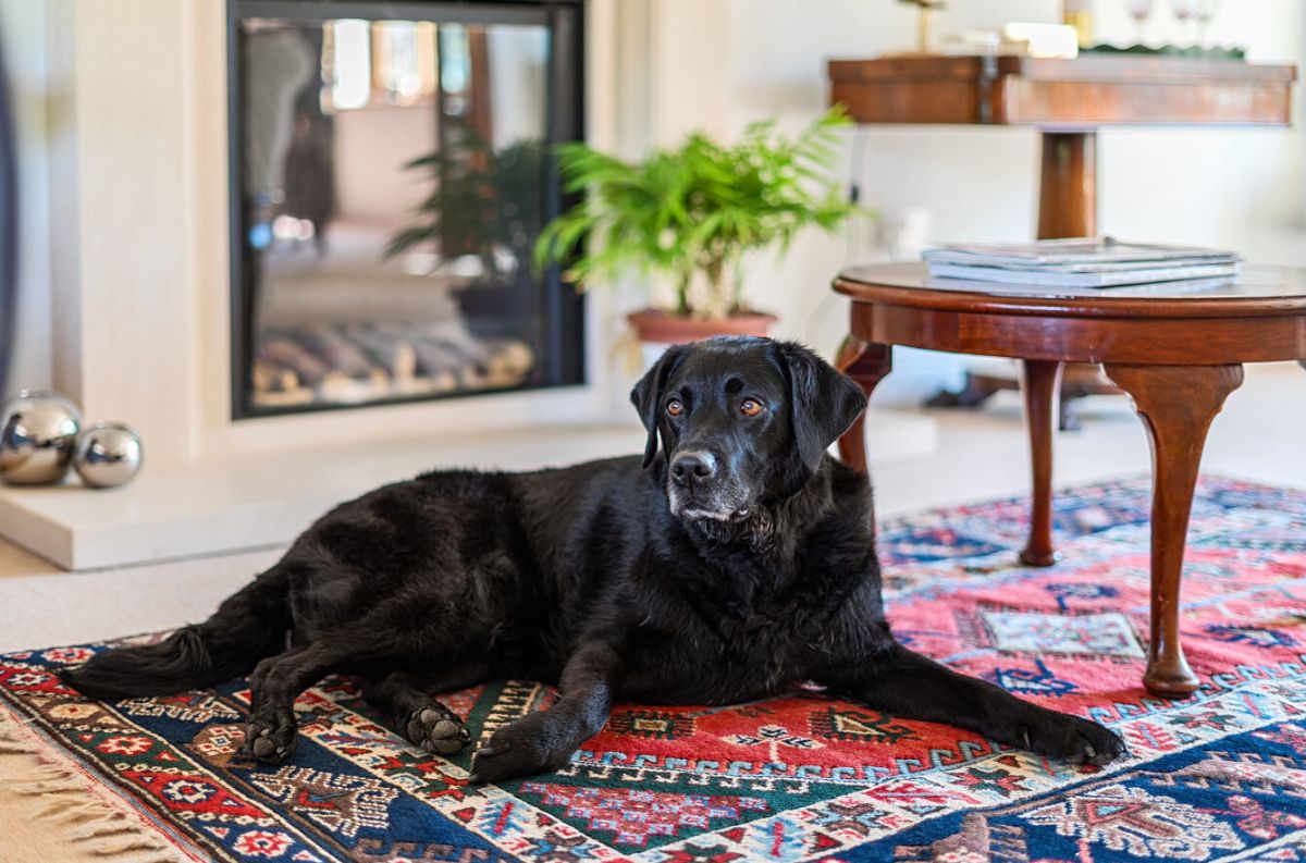 5 bed house for sale in Rock Lane, Warminster  - Property Image 2