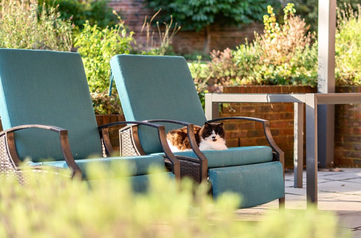 4 bed detached house for sale in 16 The Walled Garden, Heytesbury Park, Heytesbury, Warminster  - Property Image 33