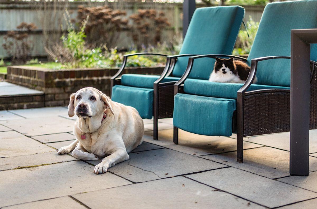 4 bed detached house for sale in 16 The Walled Garden, Heytesbury Park, Heytesbury, Warminster 28