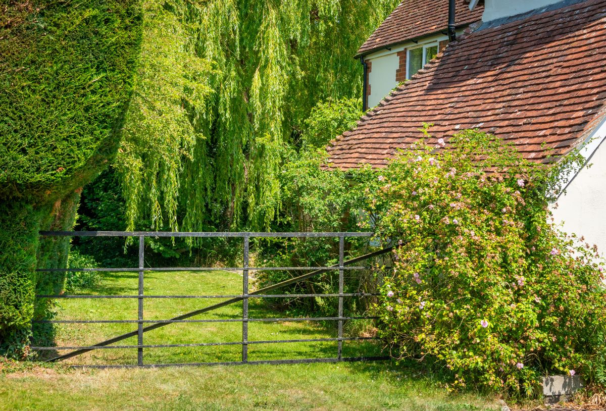 5 bed house for sale in Coombe Cottage, Hanging Langford Salisbury  - Property Image 2