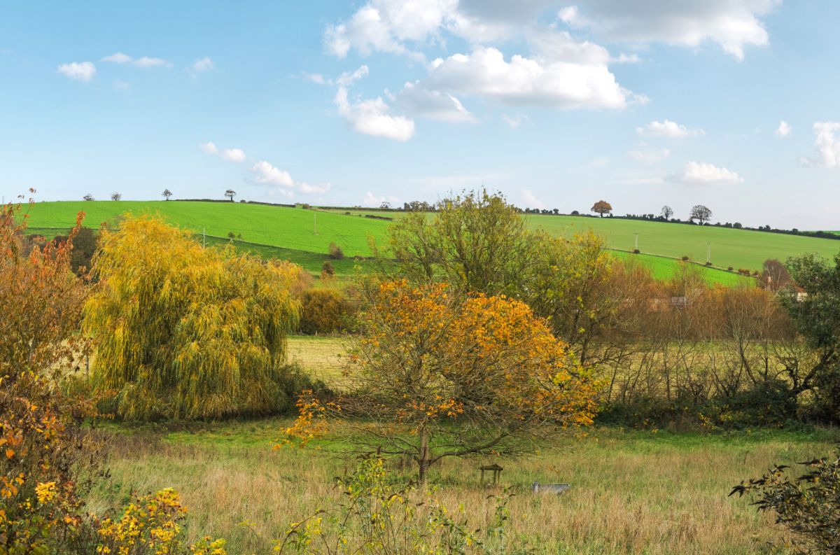 4 bed character property for sale in Yew Tree Cottage, Great Wishford  - Property Image 25