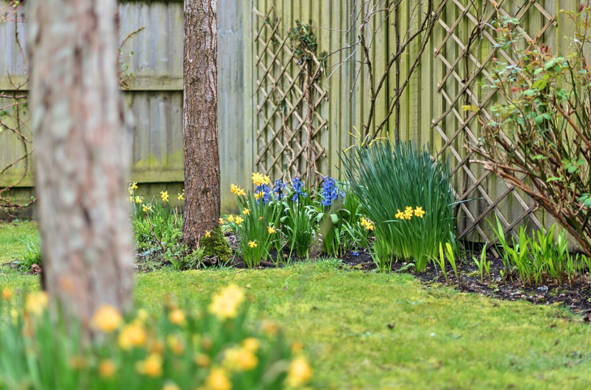 3 bed semi-detached house for sale in 2c Crow Lane, Wilton 30