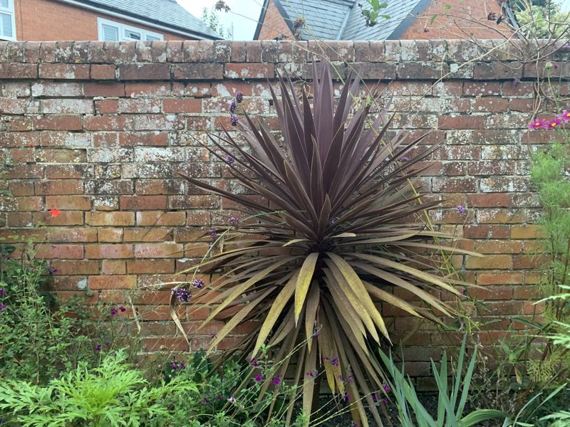 1 bed to rent in Knapp Hill, South Petherton 17