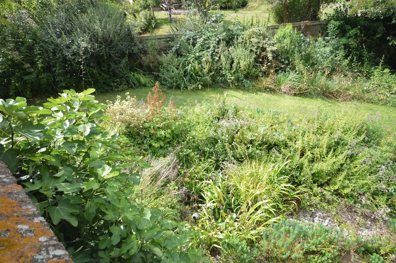 4 bed house to rent in Cat Street, Stoke-Sub-Hamdon  - Property Image 9