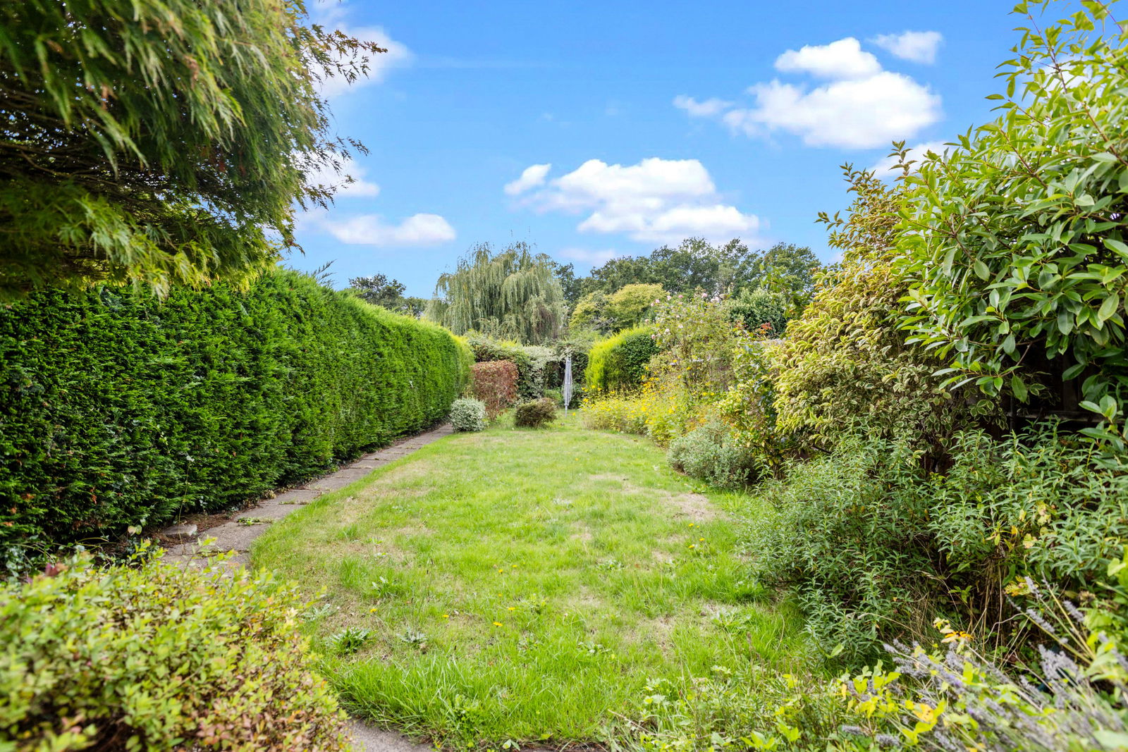 3 bed semi-detached house to rent in Worplesdon Road, Guildford, GU2  - Property Image 5
