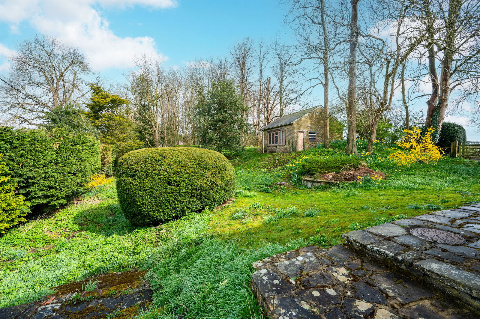 3 bed bungalow for sale in Oxted Road, Godstone  - Property Image 4