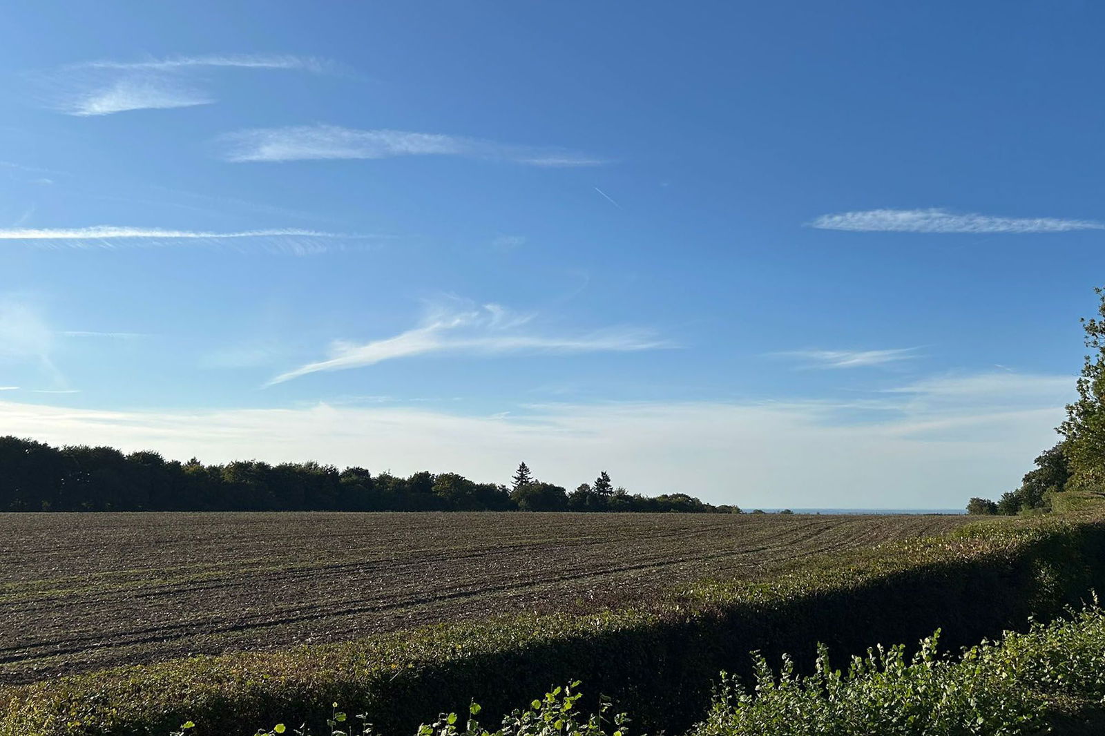 4 bed semi-detached house to rent in Chapel Lane, Bookham, KT23  - Property Image 38