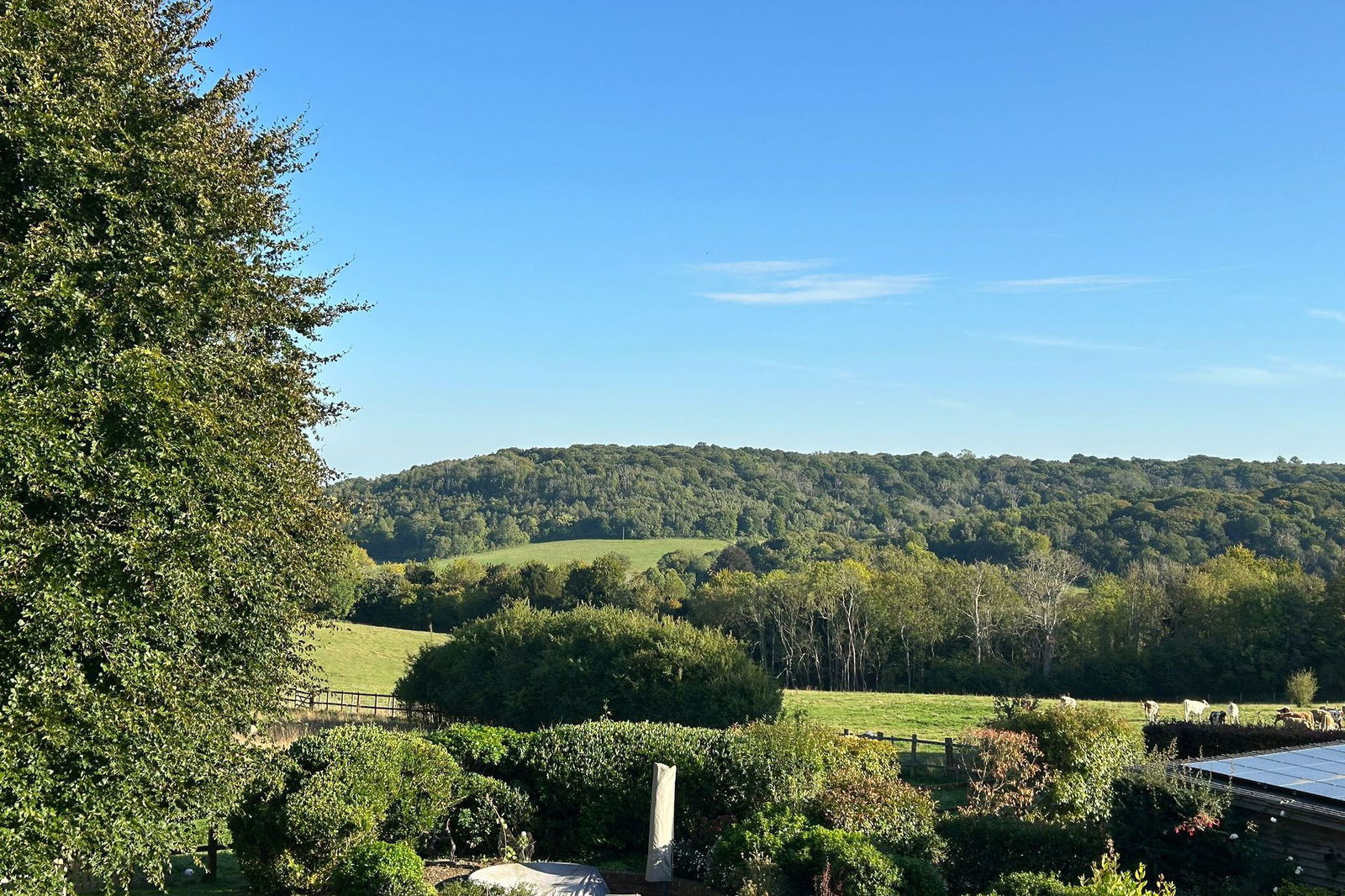 4 bed semi-detached house to rent in Chapel Lane, Bookham, KT23  - Property Image 39