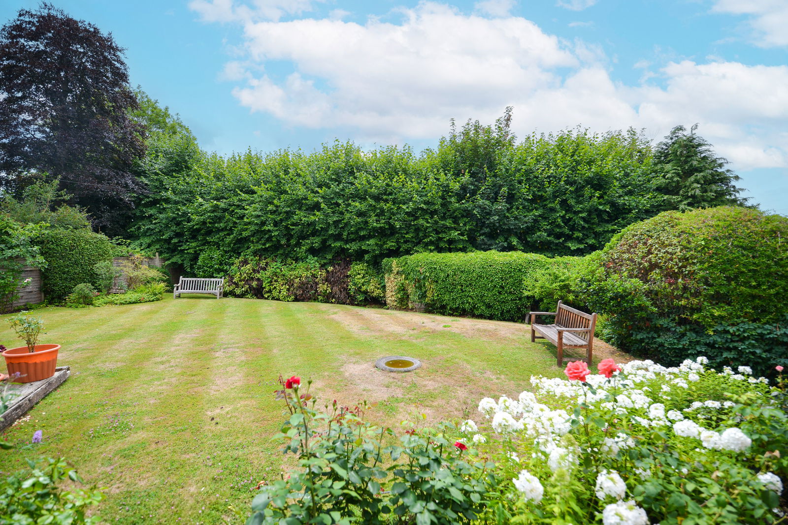 3 bed bungalow for sale in Little Bookham Street, Bookham, KT23  - Property Image 7