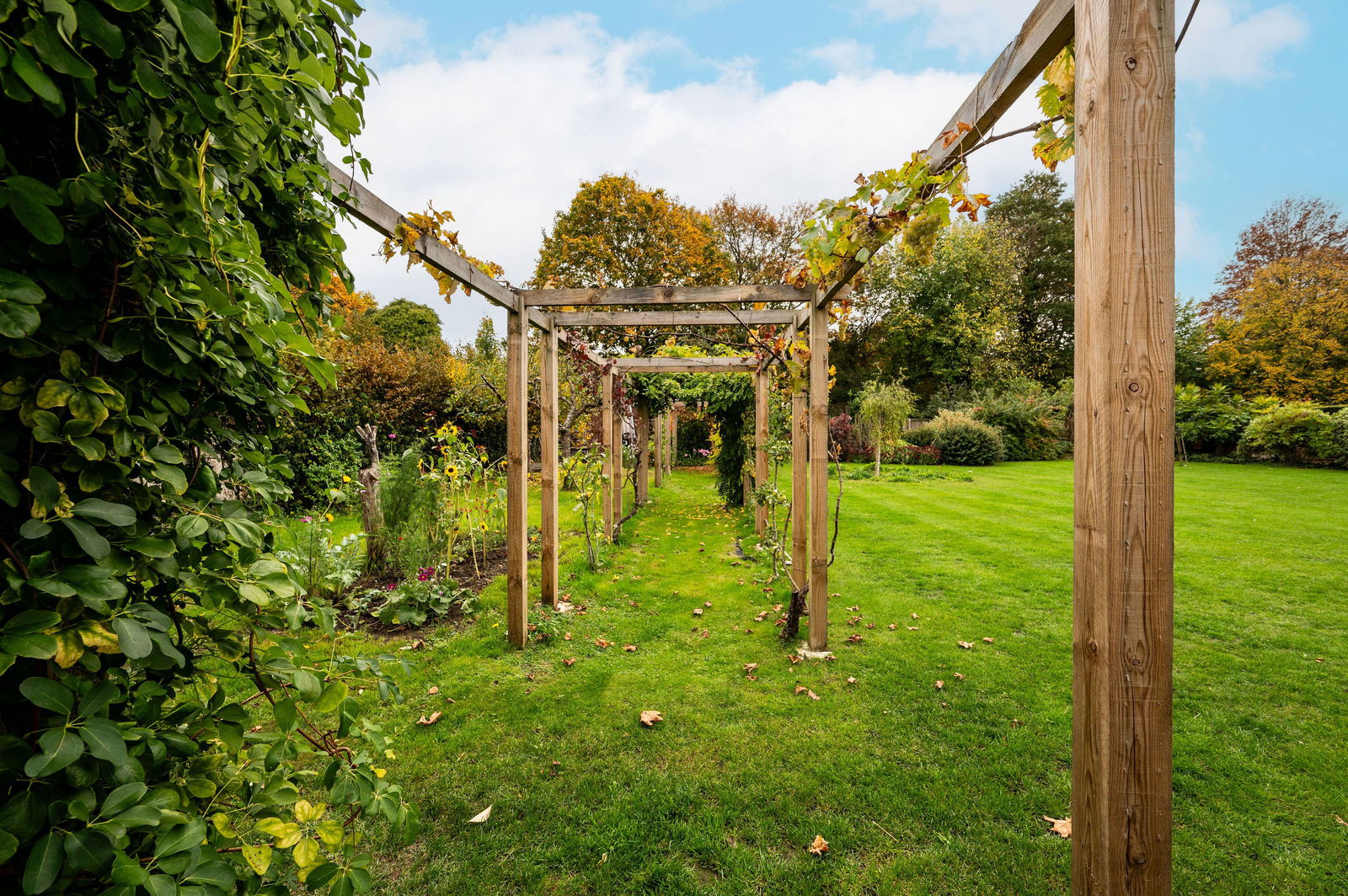 4 bed detached house for sale in Lower Road, Effingham 18