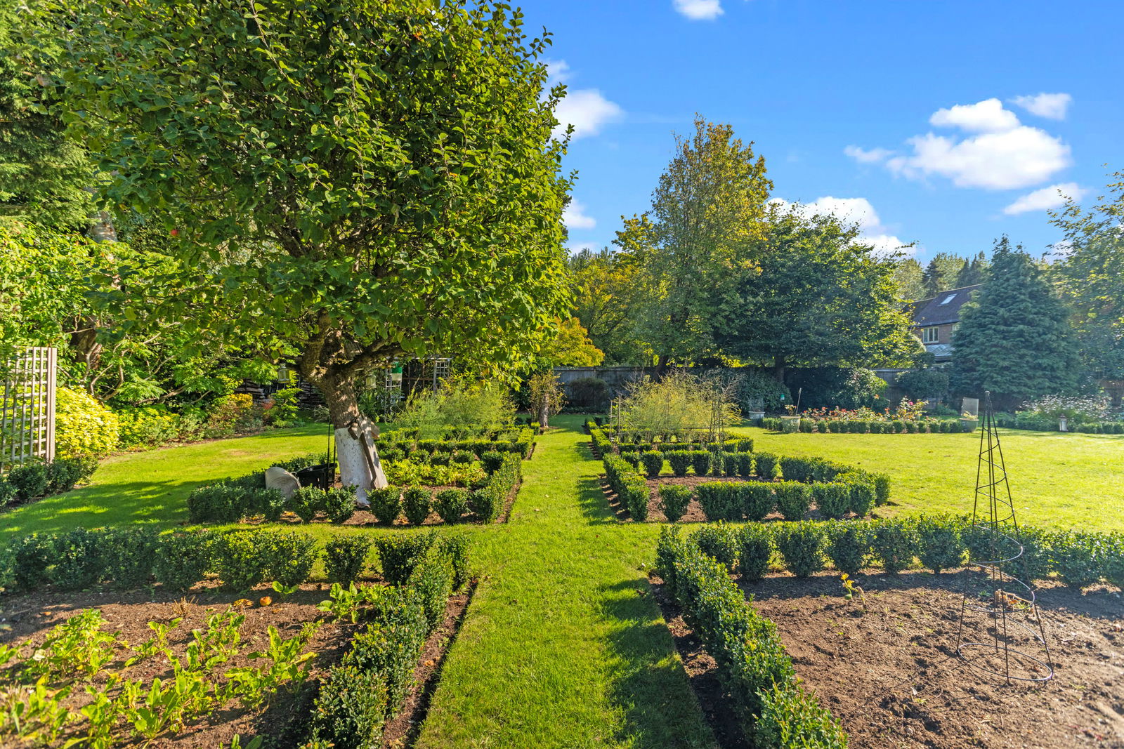 3 bed link detached house for sale in Summersbury Drive, Guildford, GU4  - Property Image 4