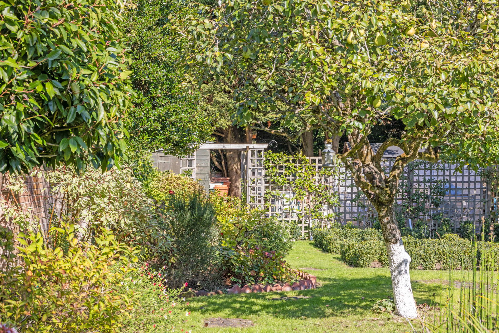 3 bed link detached house for sale in Summersbury Drive, Guildford, GU4  - Property Image 7