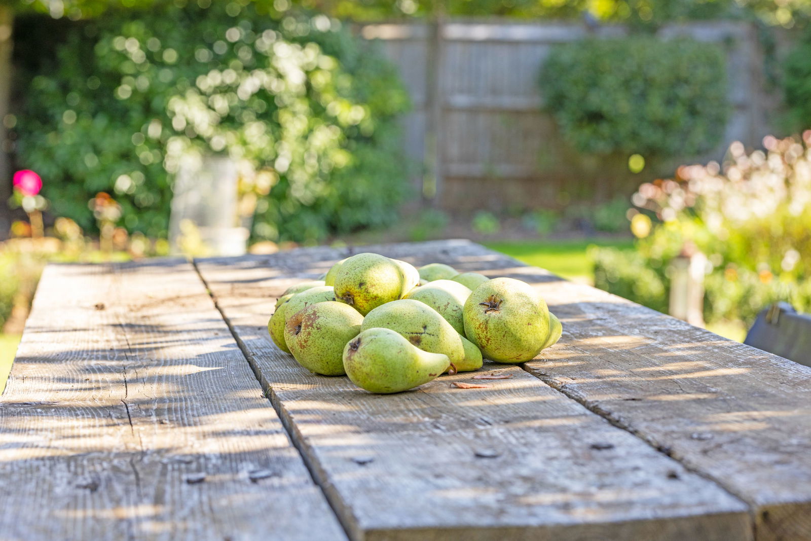 3 bed link detached house for sale in Summersbury Drive, Guildford, GU4  - Property Image 9