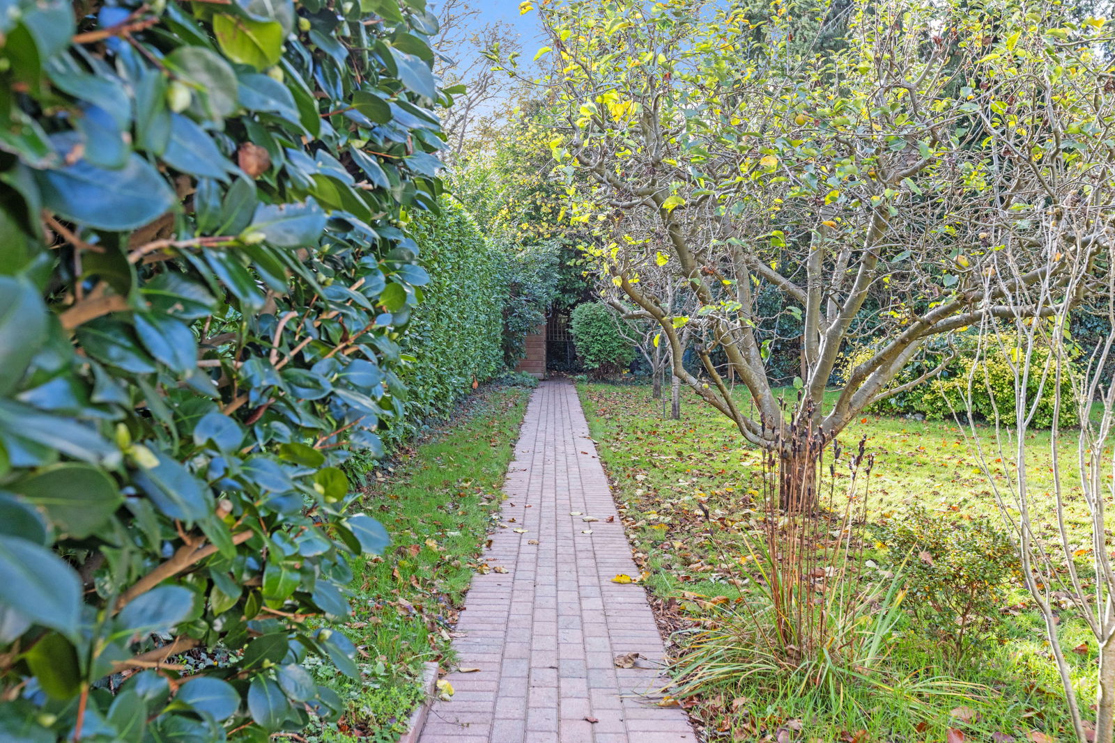 3 bed detached house for sale in The Lorne, Leatherhead  - Property Image 20