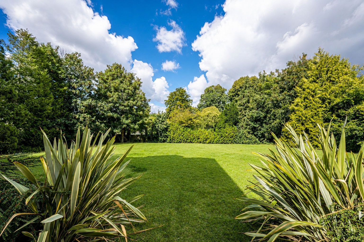 2 bed flat to rent in Epsom Road, Guildford, GU1  - Property Image 11