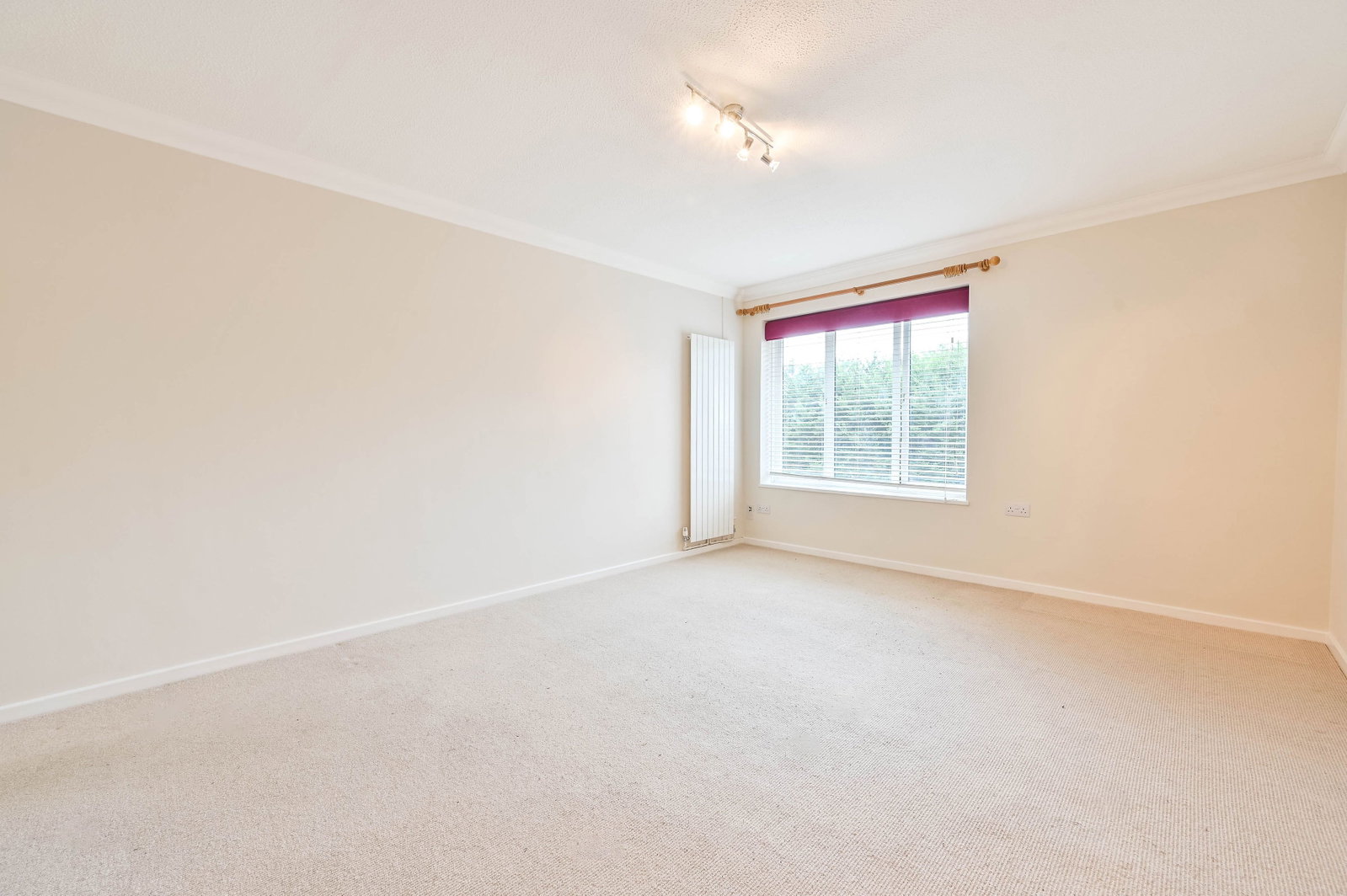 Studio flat to rent in Weston Green Road, Thames Ditton, KT7  - Property Image 3