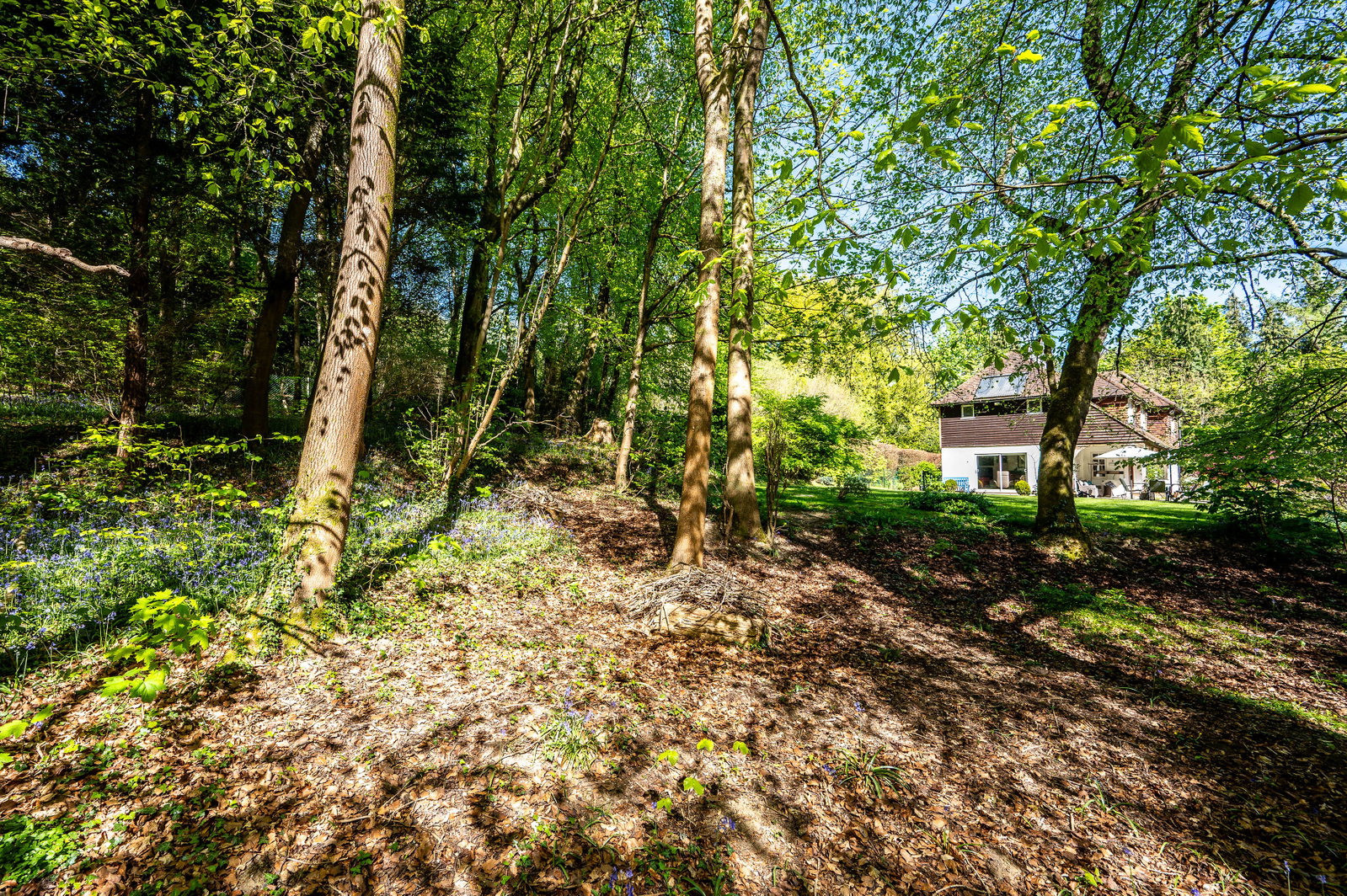 5 bed detached house for sale in Honeysuckle Bottom, East Horsley, KT24  - Property Image 32