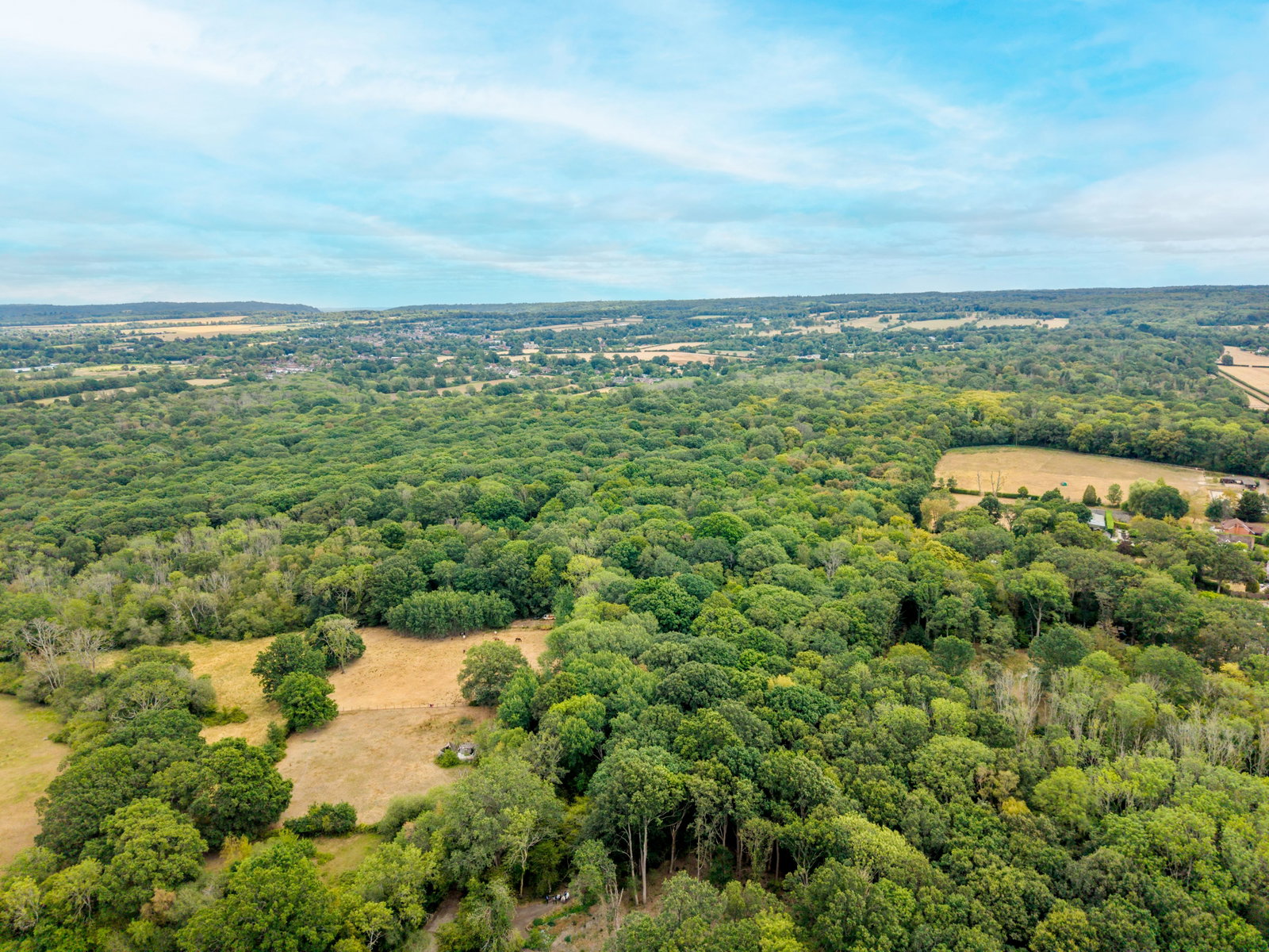 3 bed detached house for sale in Norrels Ride, East Horsley, KT24  - Property Image 24