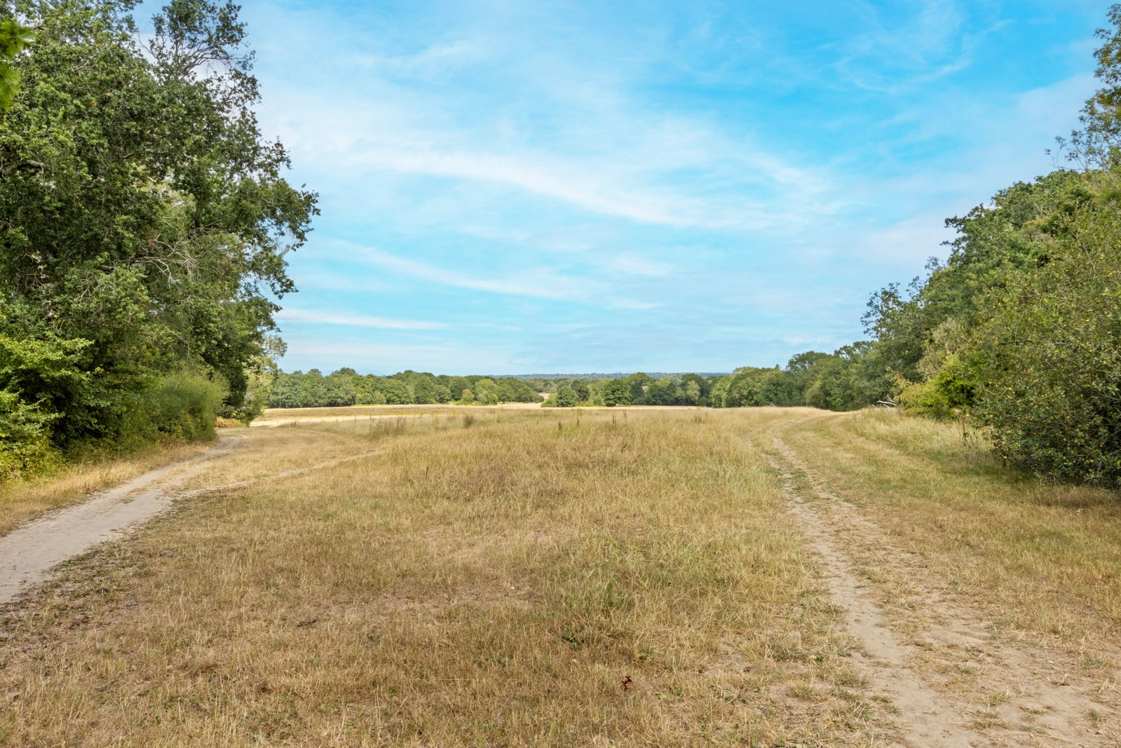 3 bed detached house for sale in Norrels Ride, East Horsley, KT24  - Property Image 23