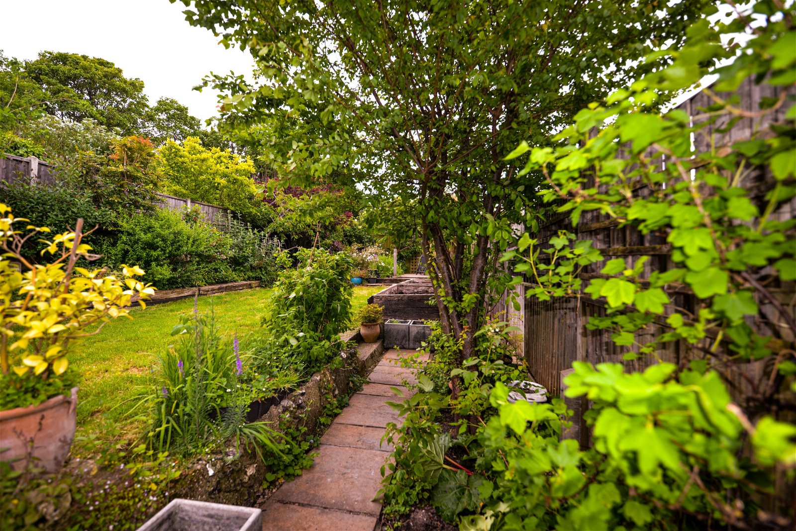 4 bed semi-detached house for sale in Carshalton Road, Sutton, SM5 3PZ  - Property Image 7