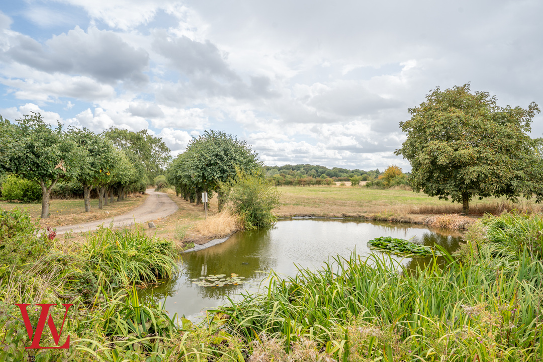 2 bed barn conversion to rent in Oak Park, Hunsdon, Ware, Hertfordshire  - Property Image 13