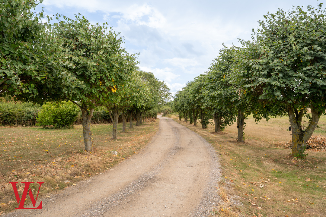 2 bed barn conversion to rent in Oak Park, Hunsdon, Ware, Hertfordshire  - Property Image 14