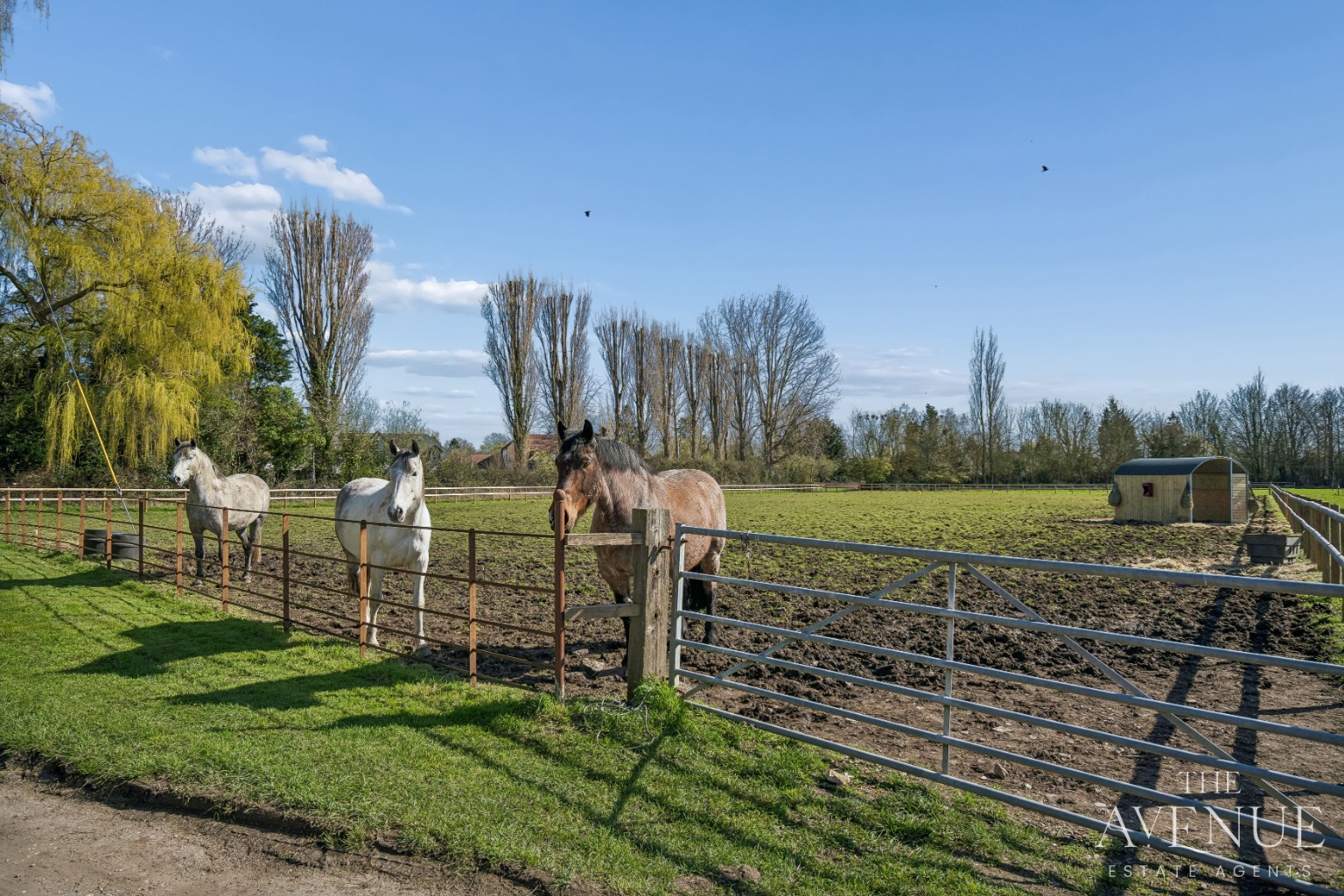 5 bed detached house for sale in Berrick Salome, Oxfordshire, OX10  - Property Image 18