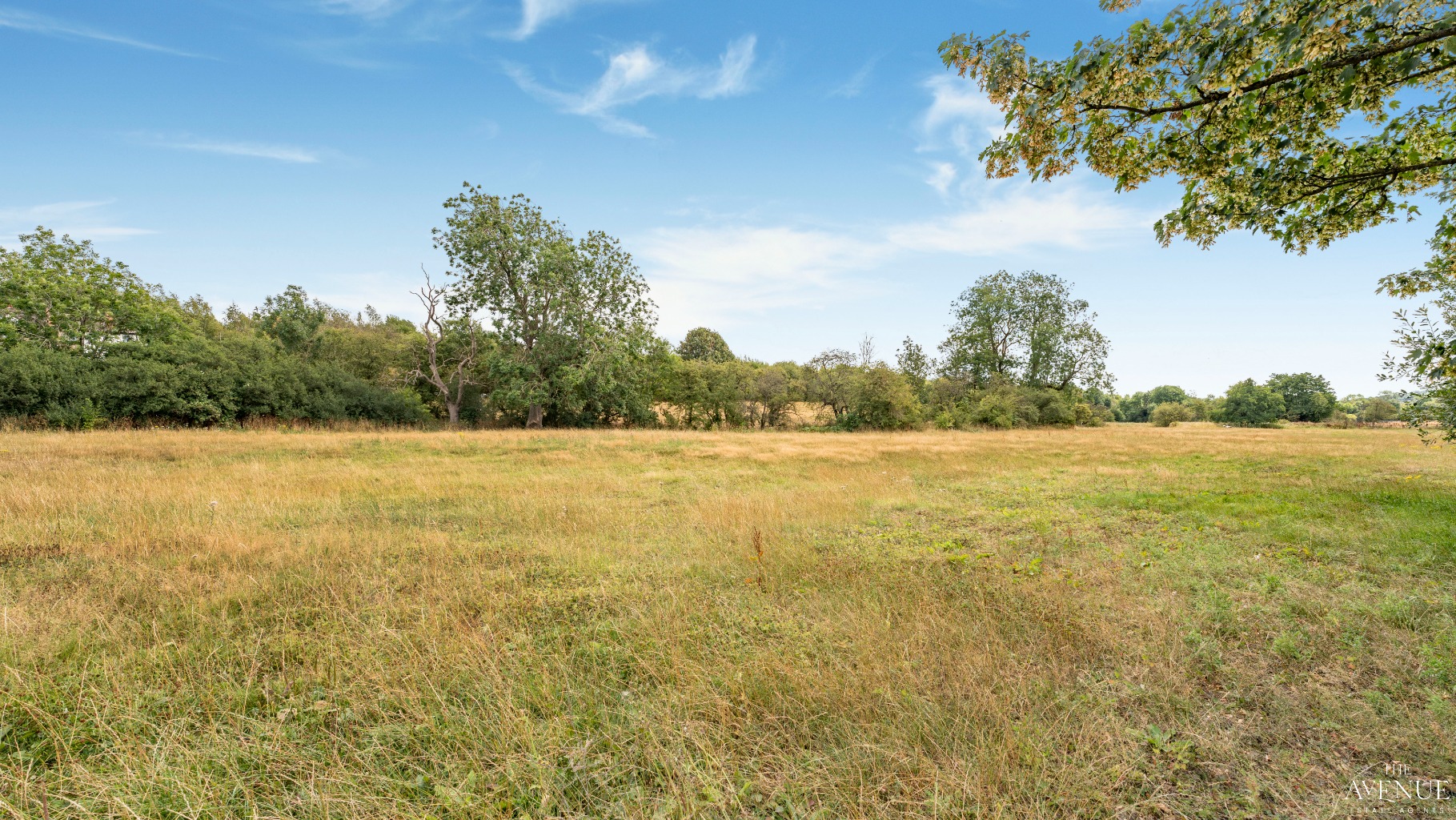 3 bed detached bungalow for sale in Mill Meadow Farm, Pye Bridge 25