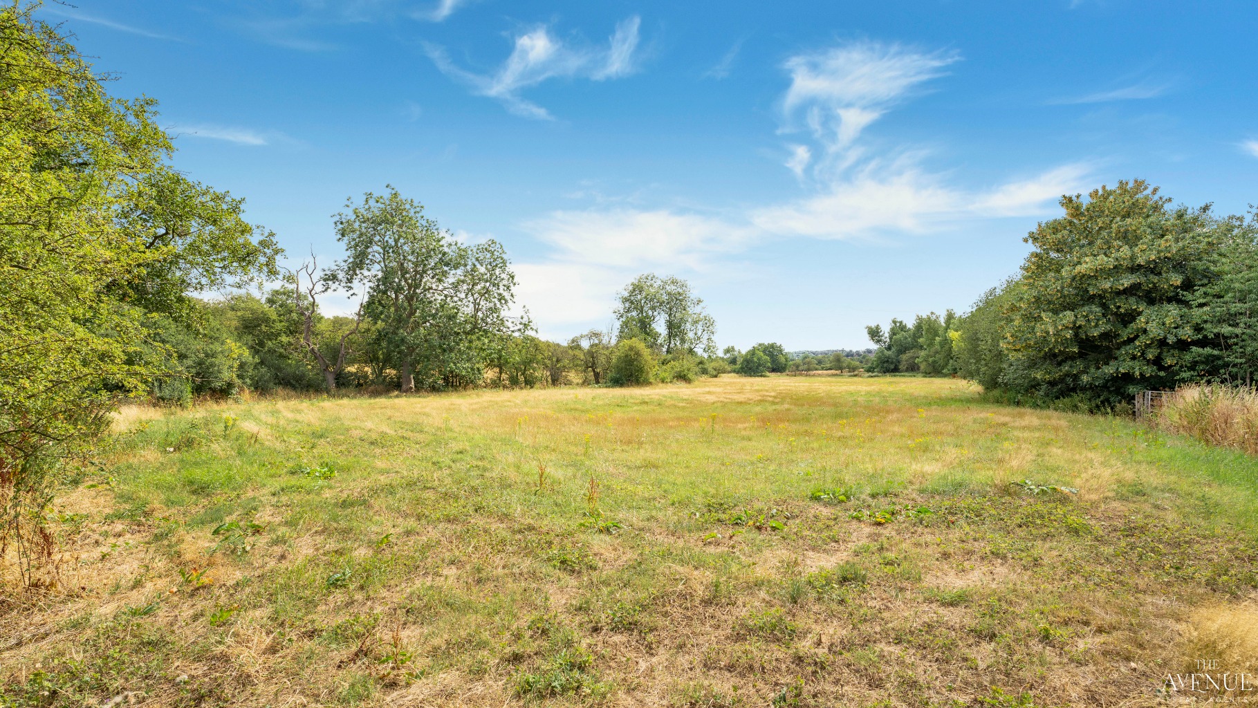3 bed detached bungalow for sale in Mill Meadow Farm, Pye Bridge  - Property Image 25