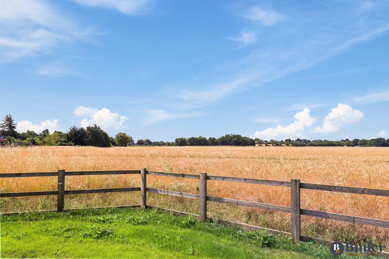 4 bed detached bungalow for sale in Grange View, Blunham  - Property Image 70