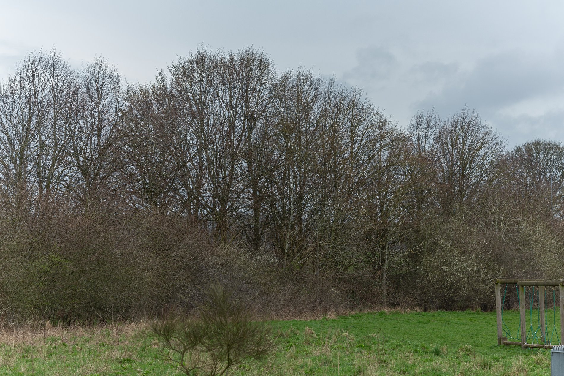 5 bed detached house for sale in Old School Drive, Edwinstowe, NG21  - Property Image 24