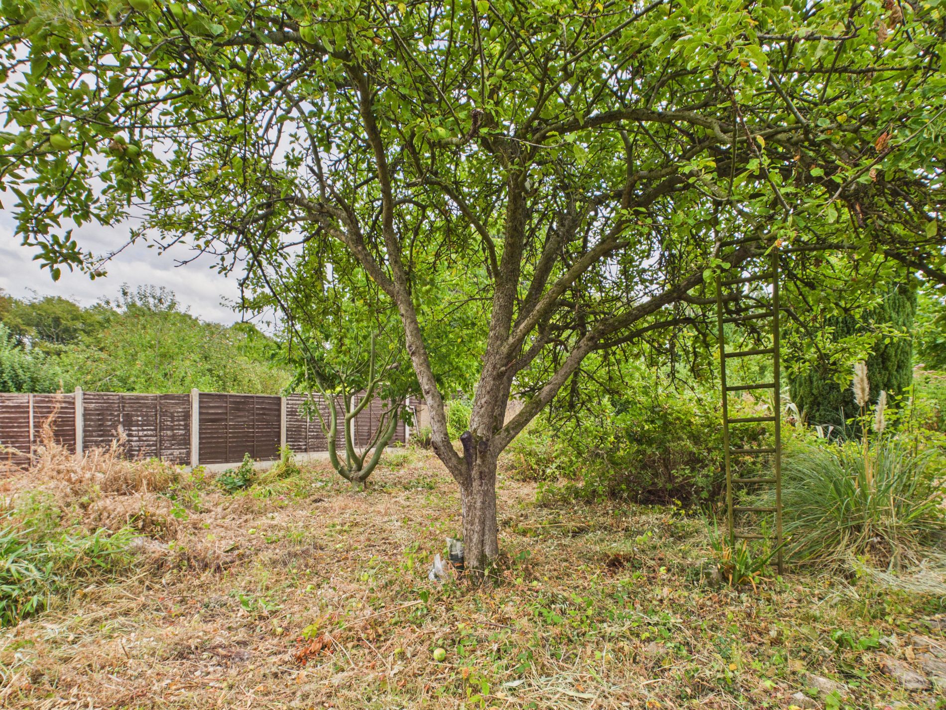 3 bed detached house for sale in Weston Road, Egmanton, NG22  - Property Image 15