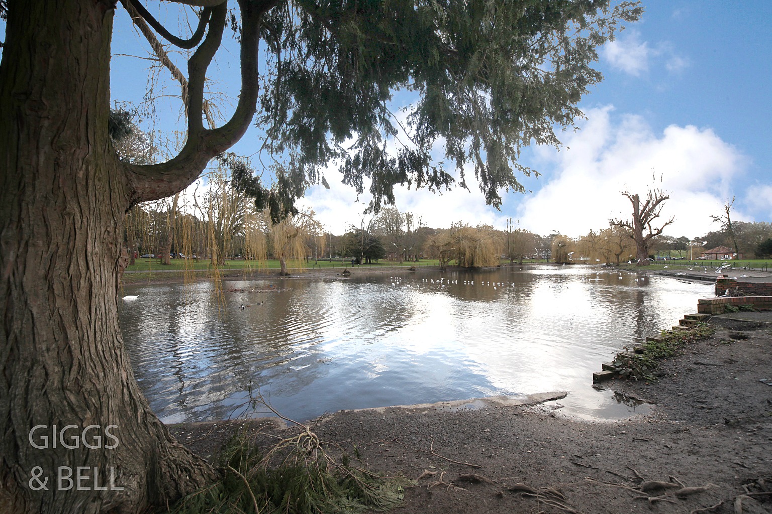 2 bed flat for sale in Primrose Close, Luton  - Property Image 12