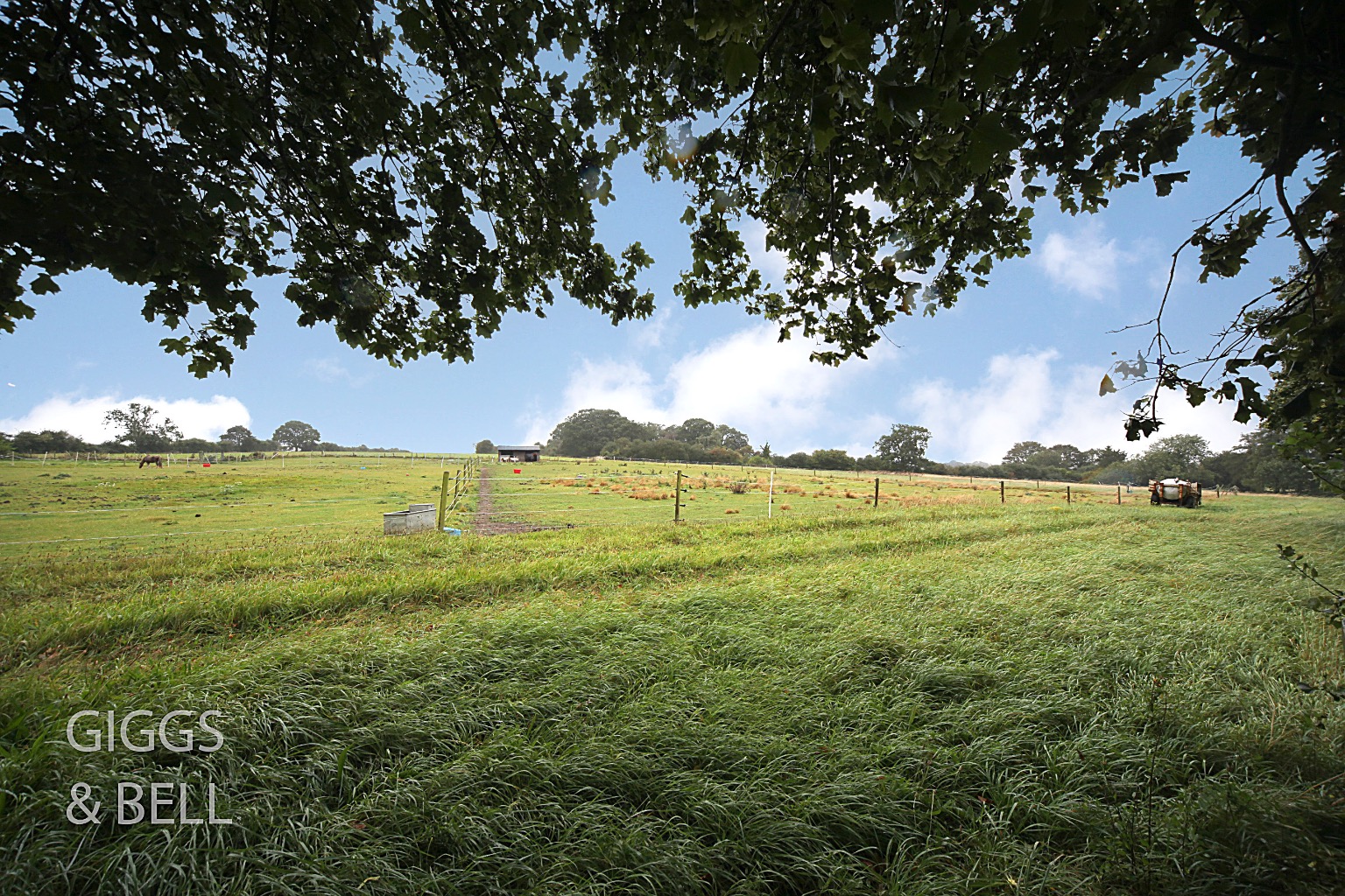 3 bed detached bungalow for sale in Sharpenhoe Road, Luton  - Property Image 3