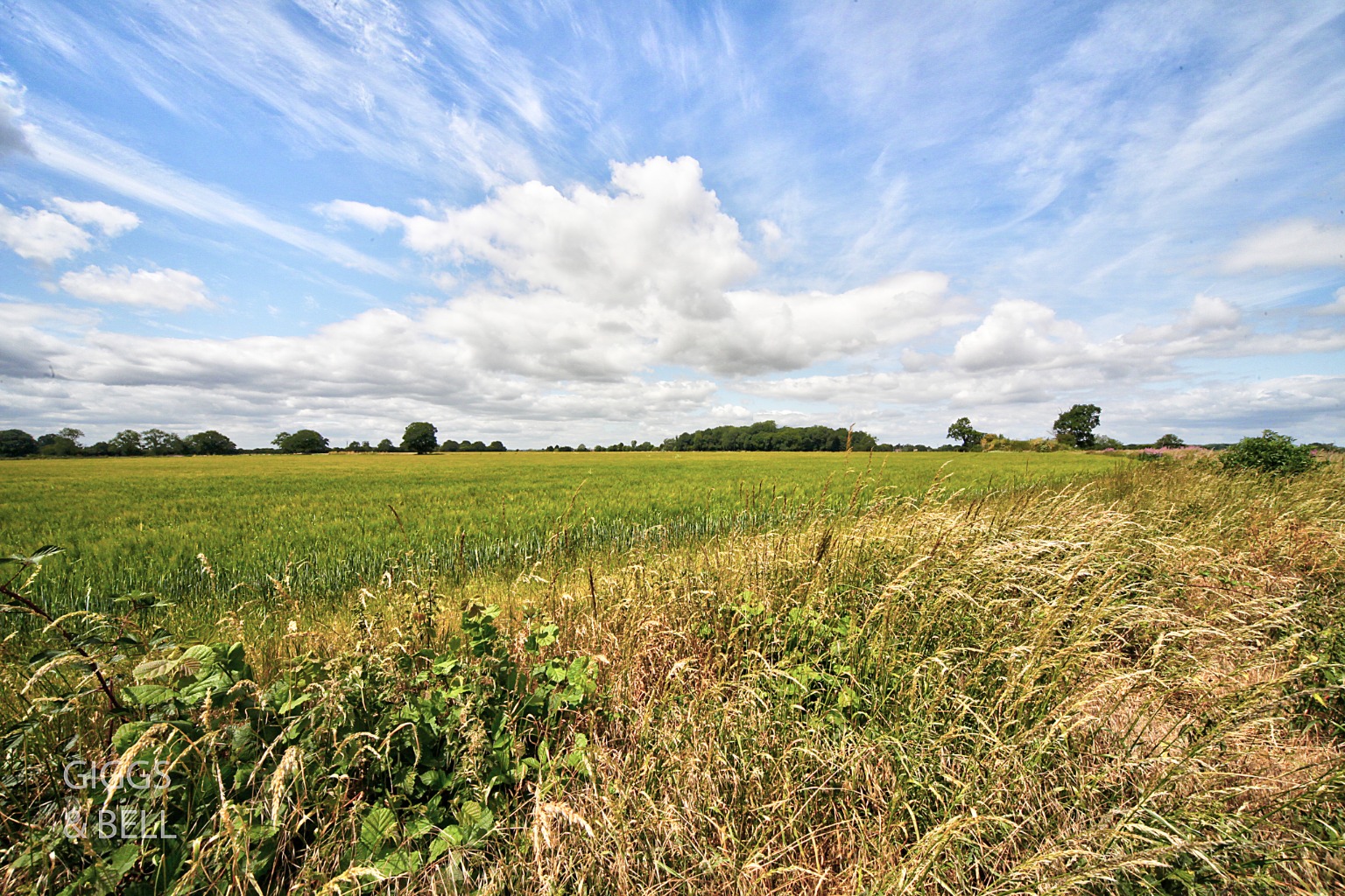 2 bed park home for sale in Little Meadow, Luton 12