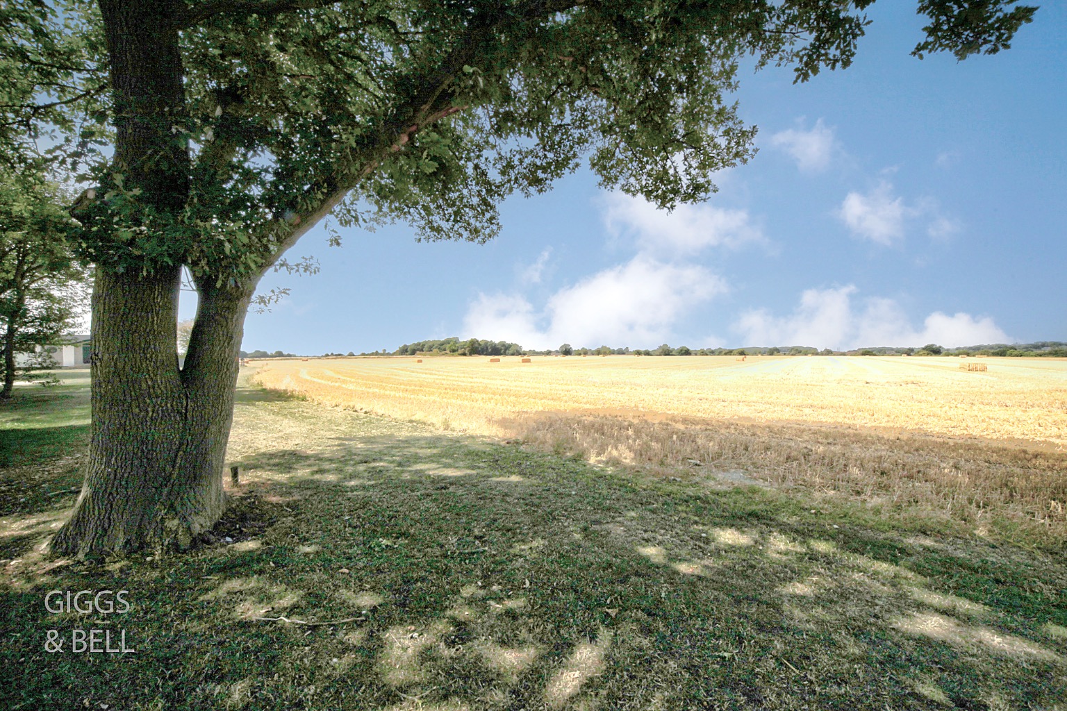 2 bed park home for sale in Little Meadow, Luton 21