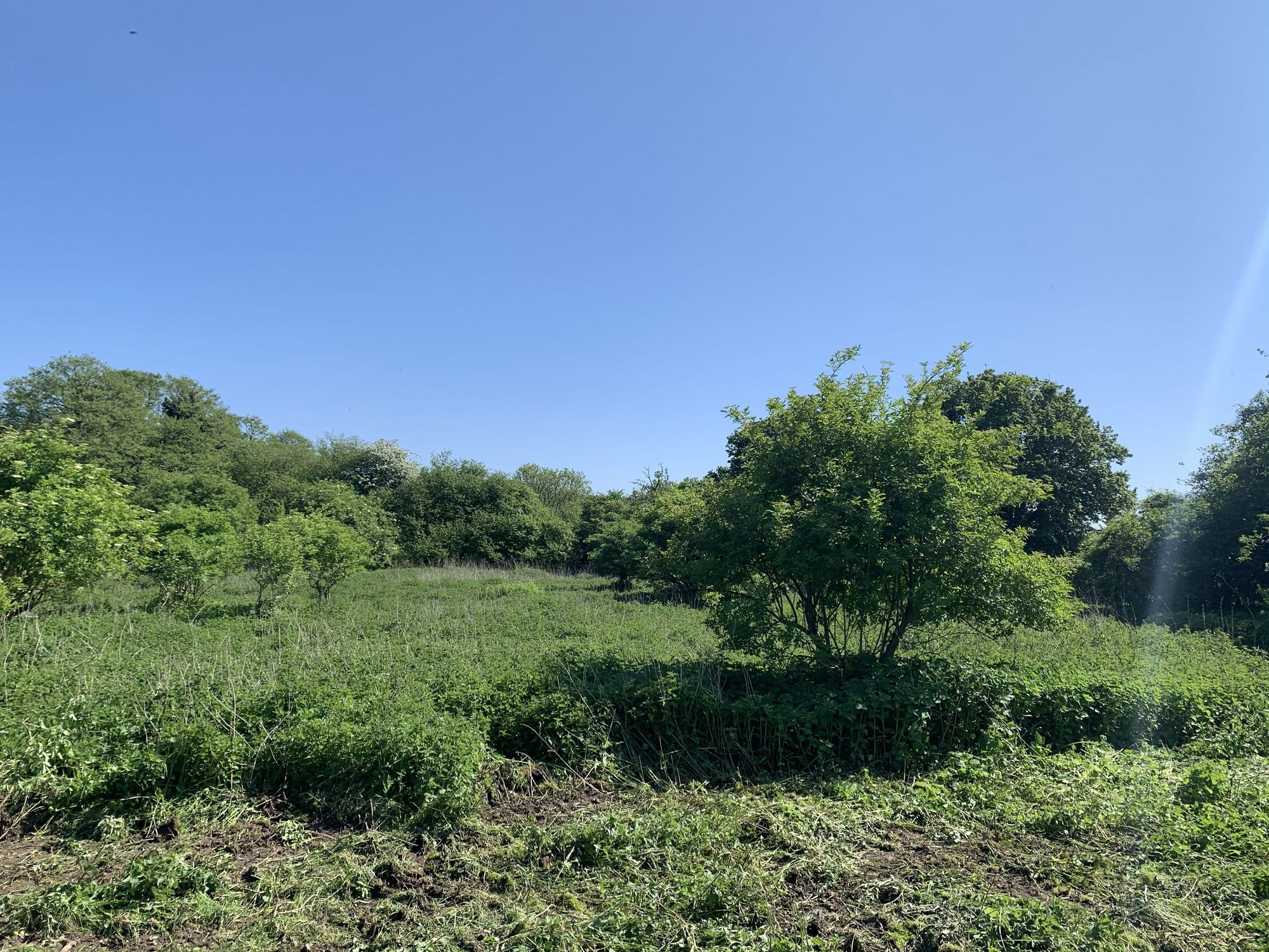 Three bed land for sale in Mill Pond Lane, Chichester, PO18
