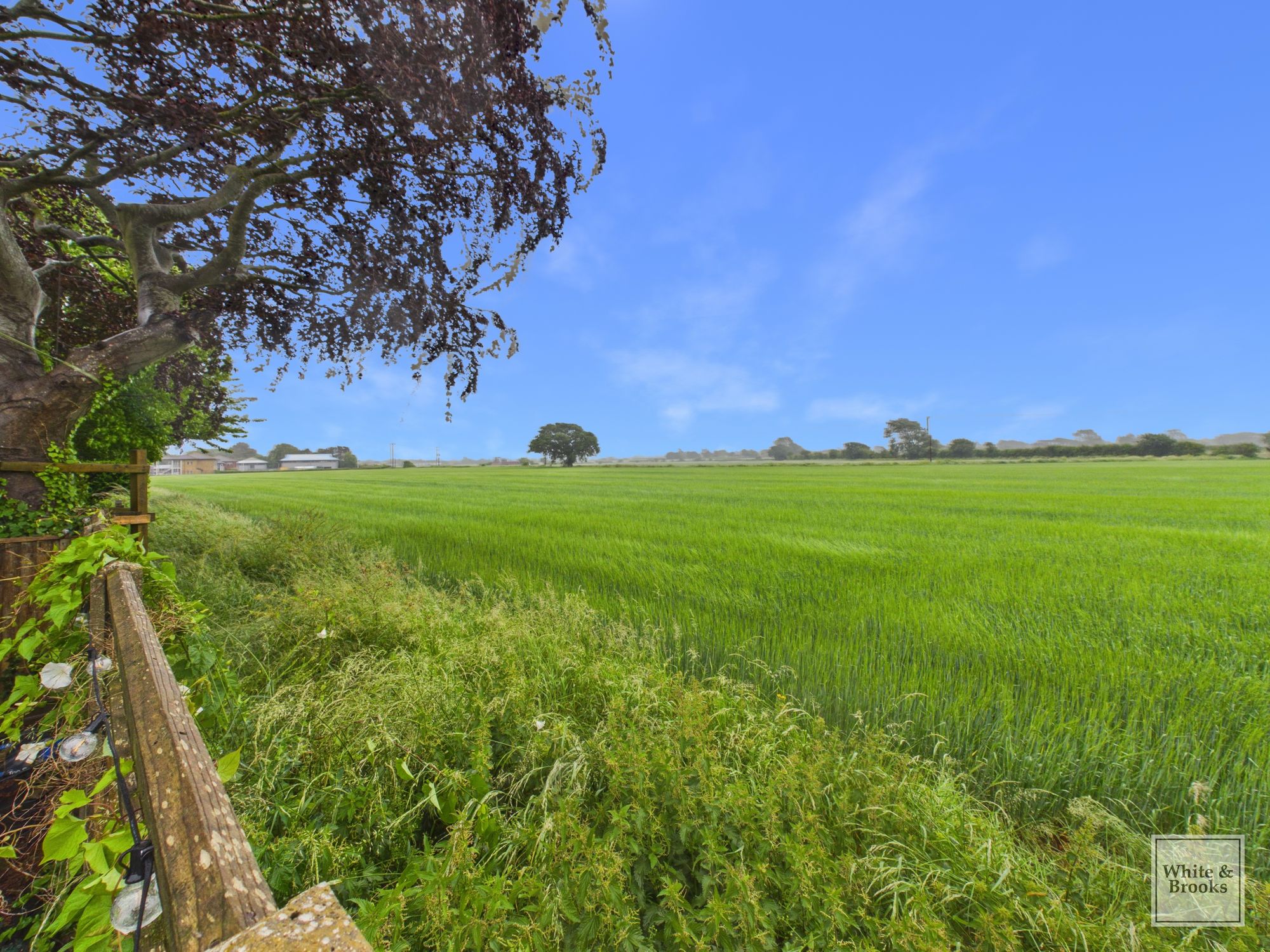 3 bed detached bungalow for sale in Birdham Road, Chichester, PO20  - Property Image 4