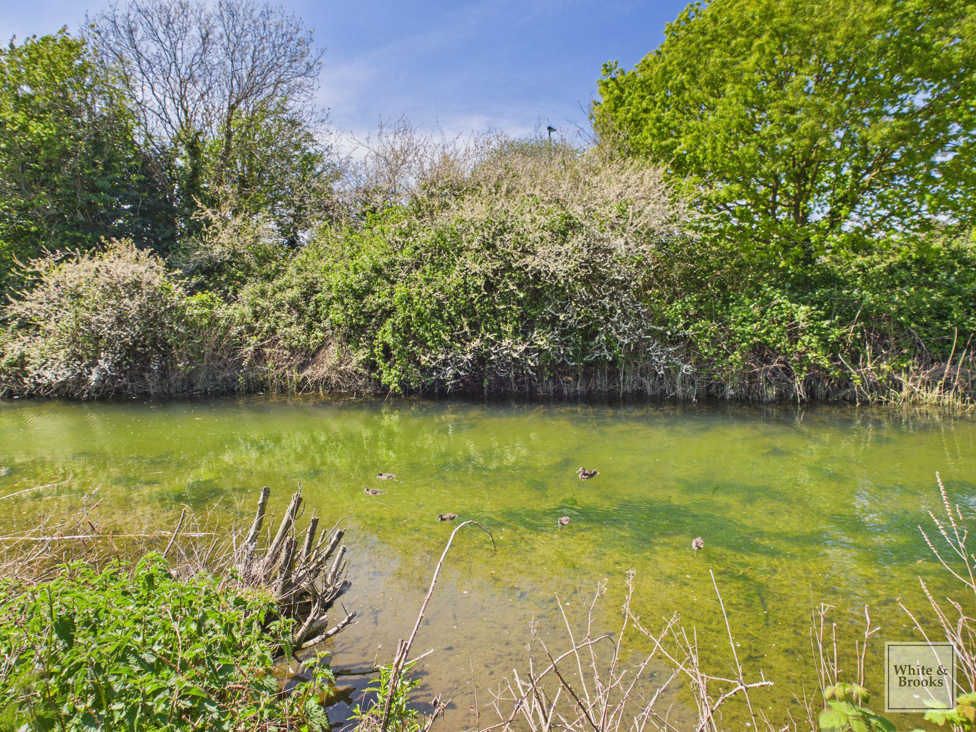 4 bed chalet for sale in Rife Way, Felpham, PO22 27