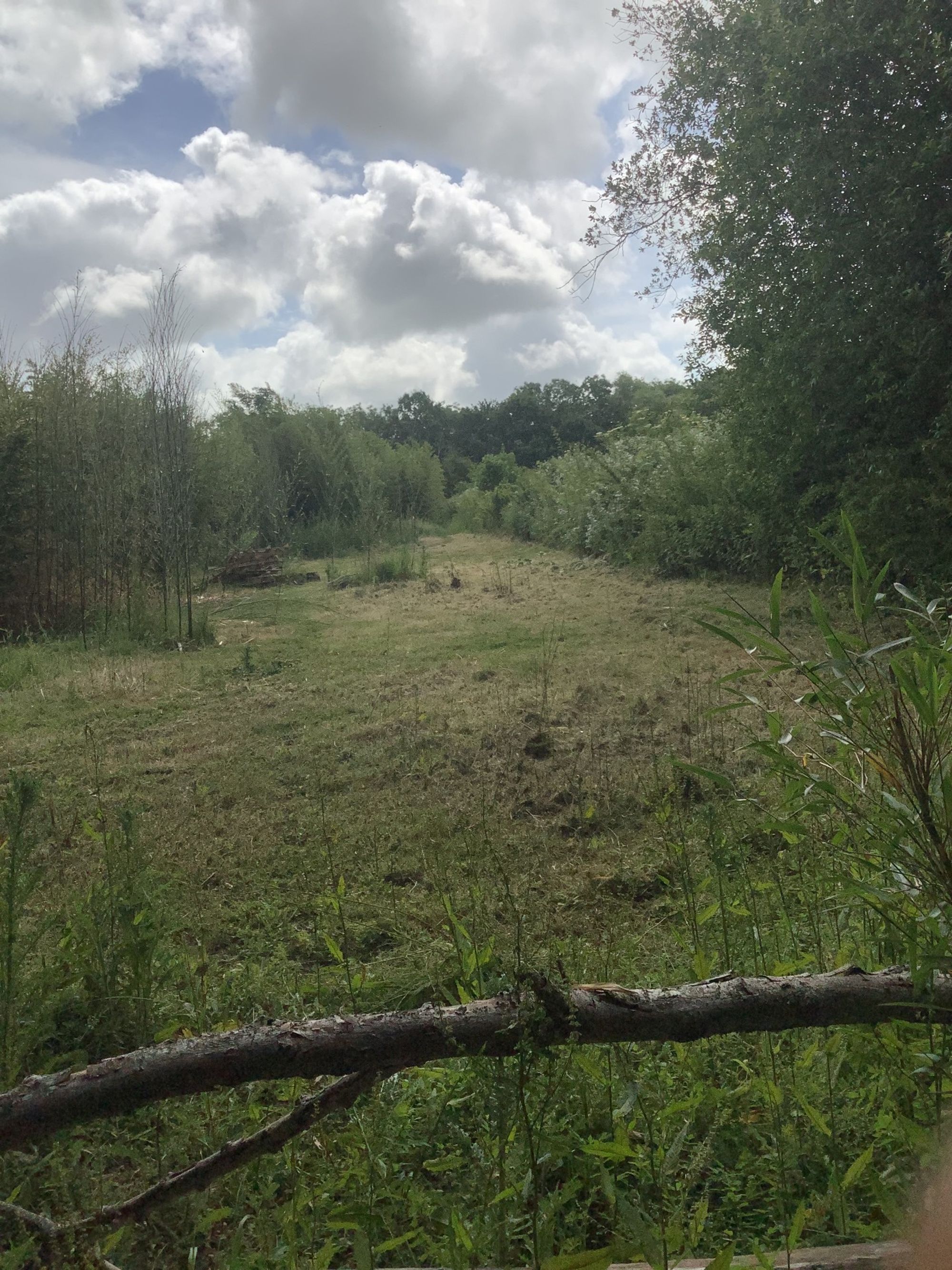 3 bed land for sale in Hambrook Hill South, Hambrook, PO18  - Property Image 6