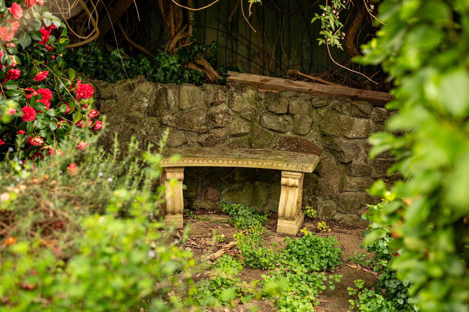 3 bed house for sale in Catley Grove, Bristol  - Property Image 19