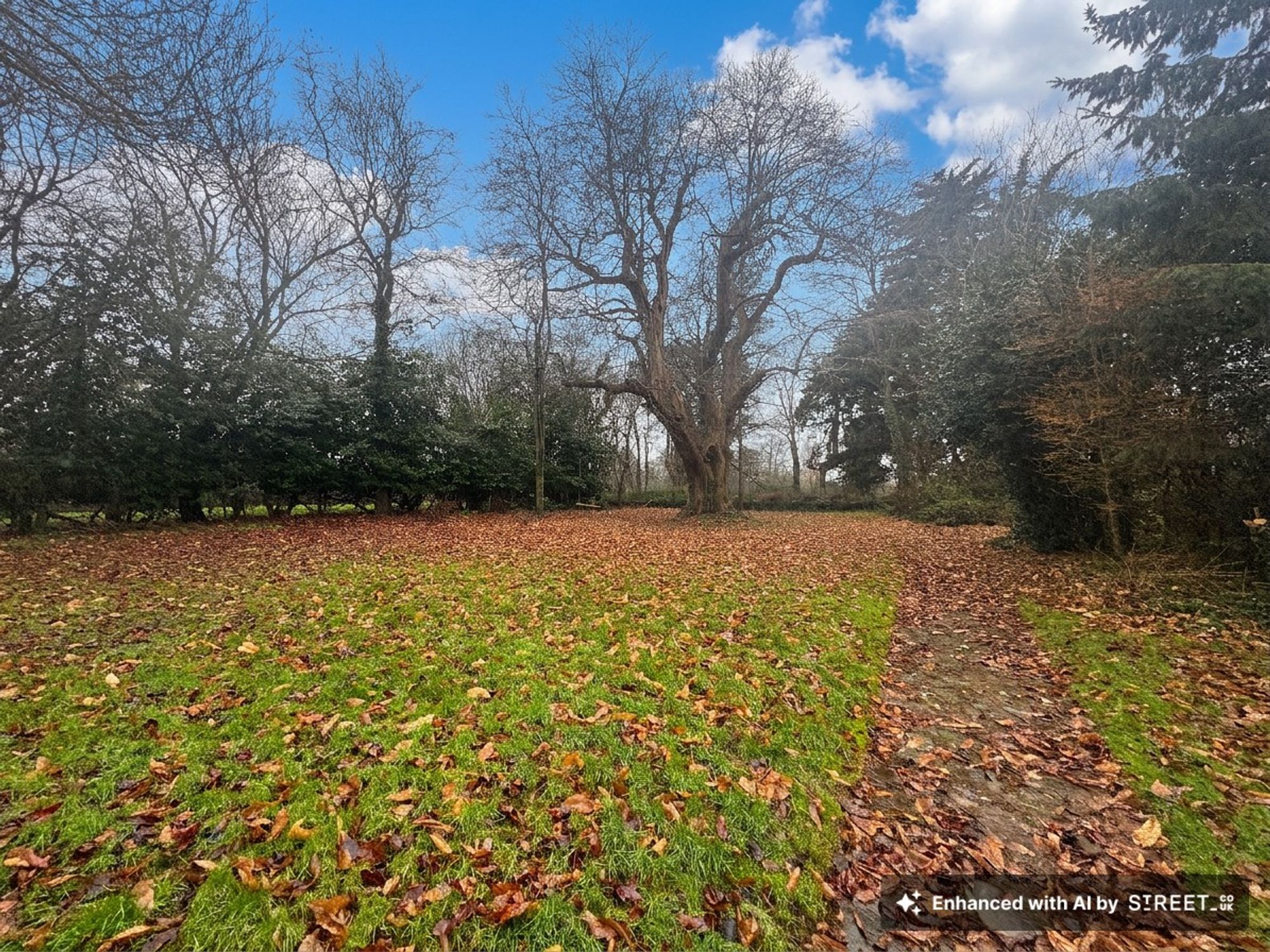 3 bed semi-detached house to rent in Ford Street, Woodlands House Ford Street, TA21  - Property Image 4