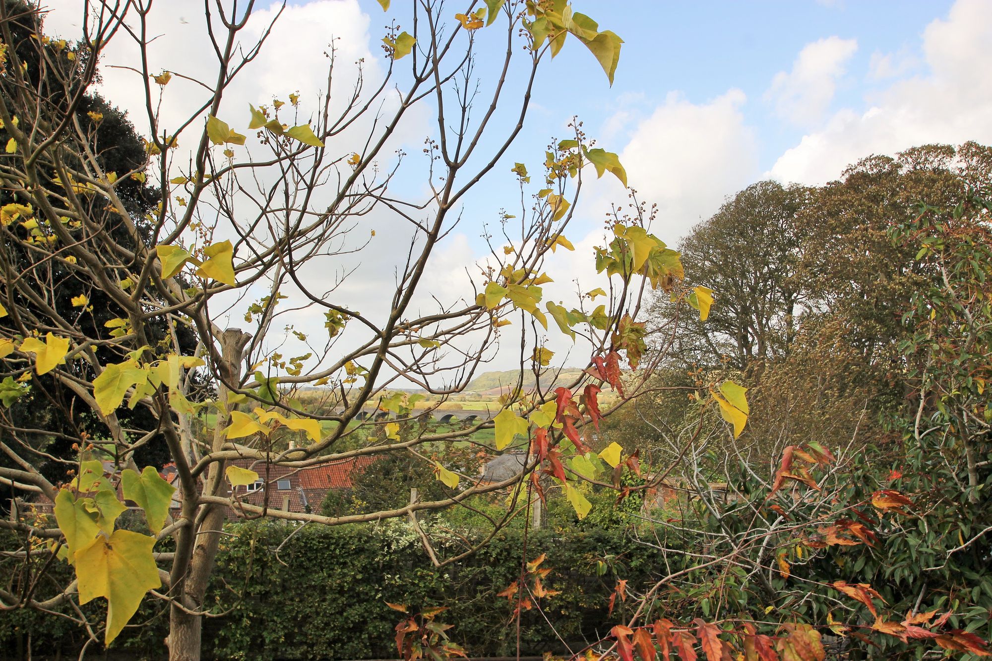 1 bed apartment to rent in The Hill, Langport, TA10 7
